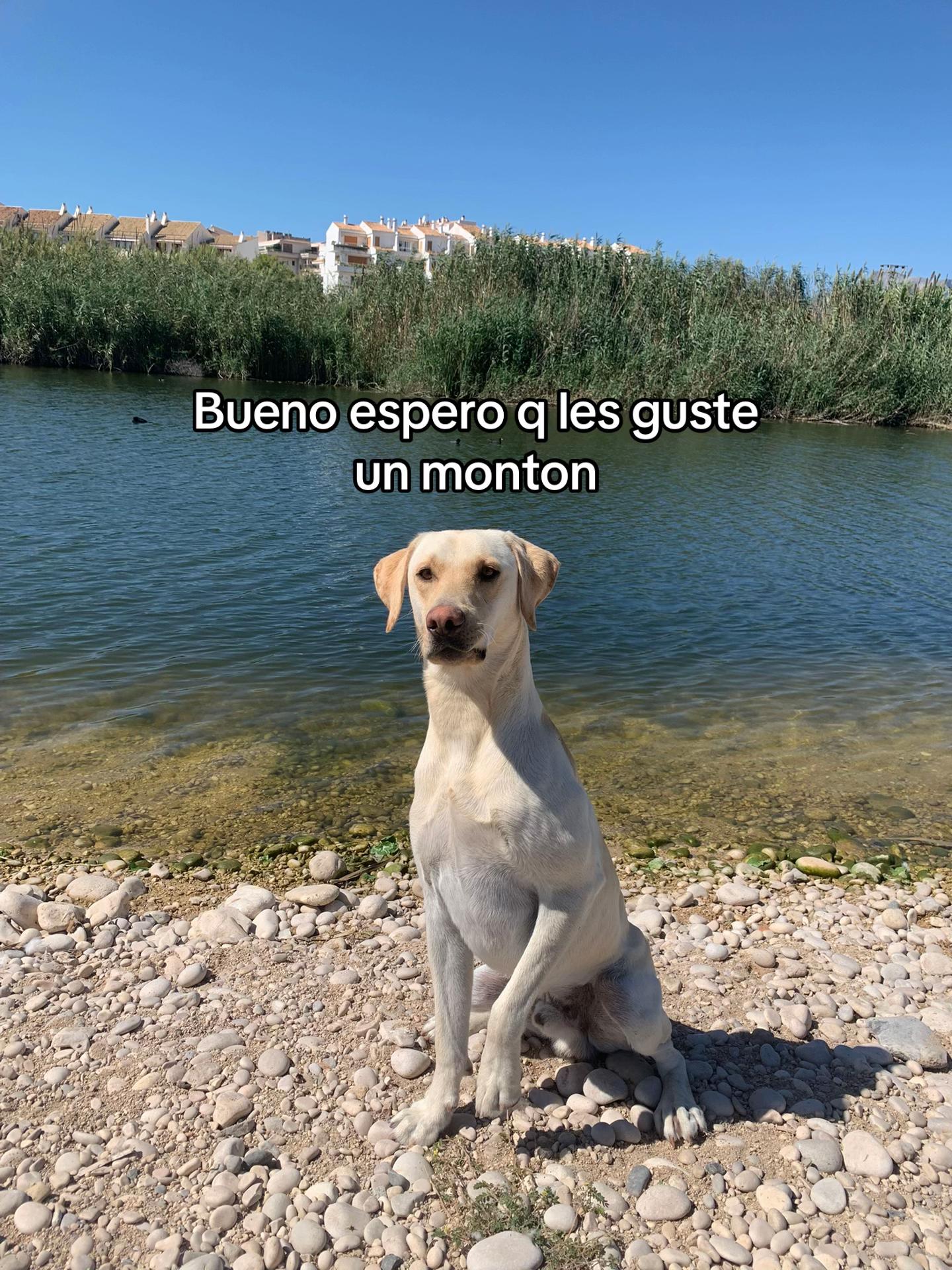 @Laii🤍