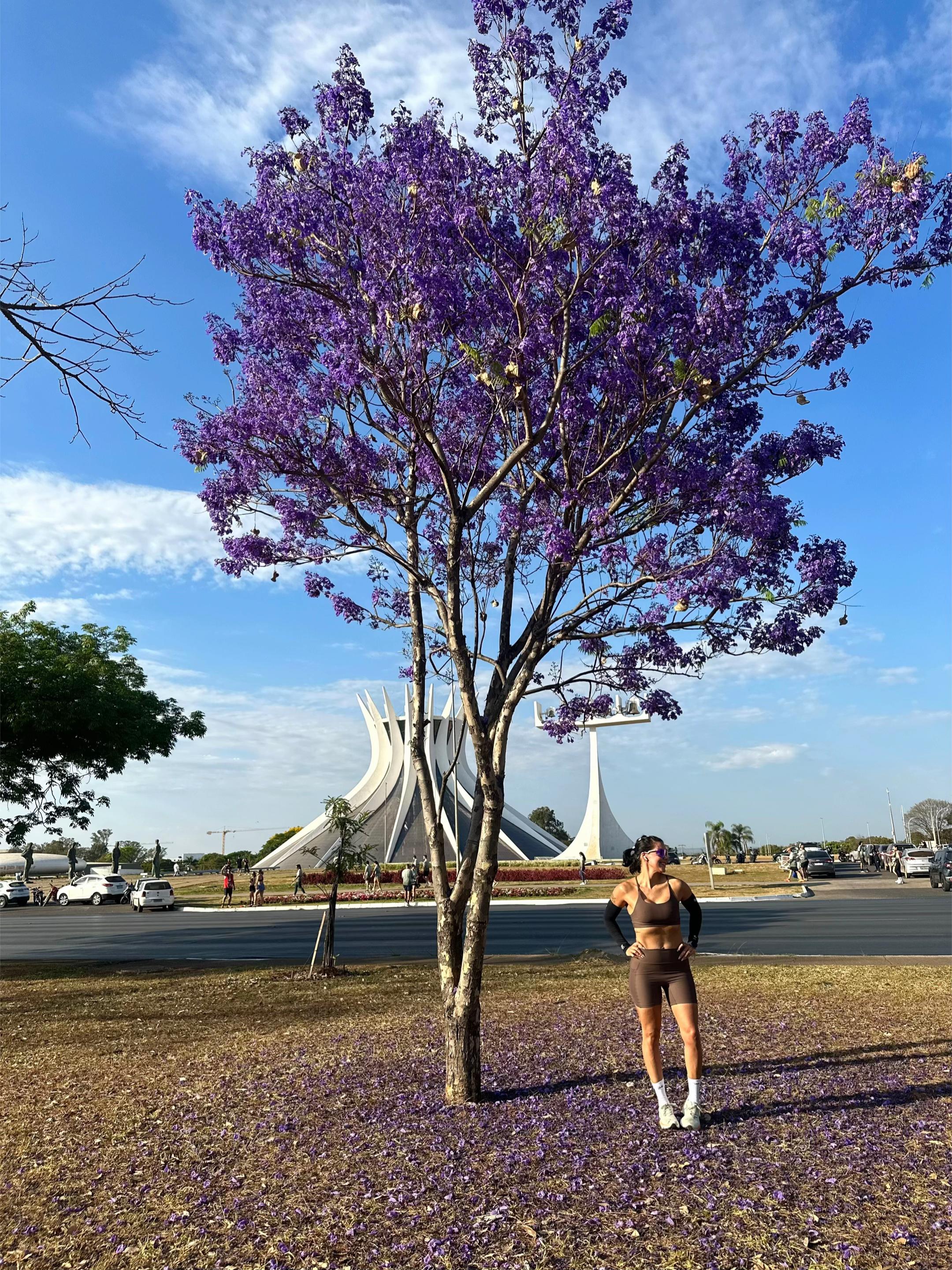 @Mariana Pinheiro
