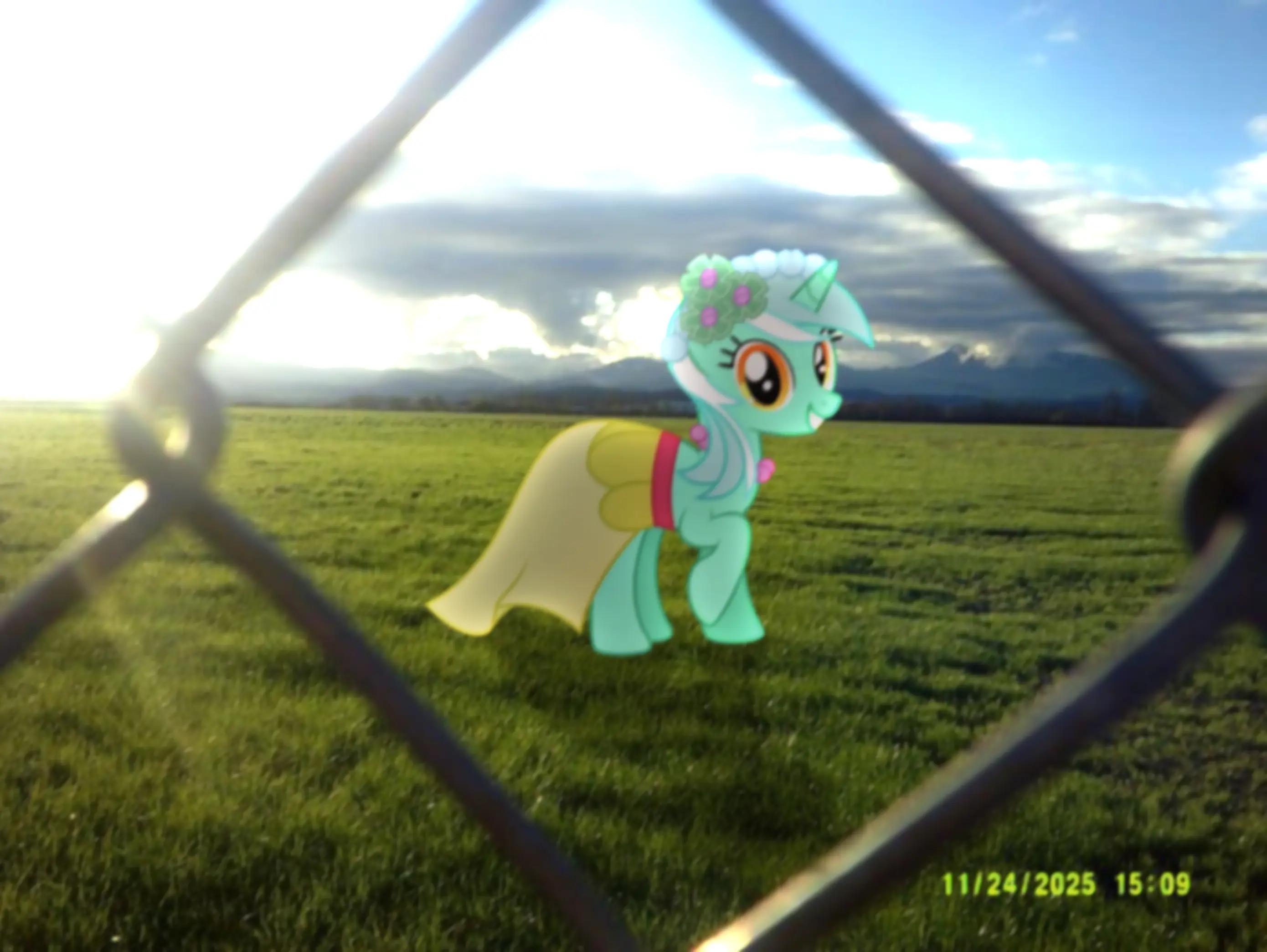 @mlp