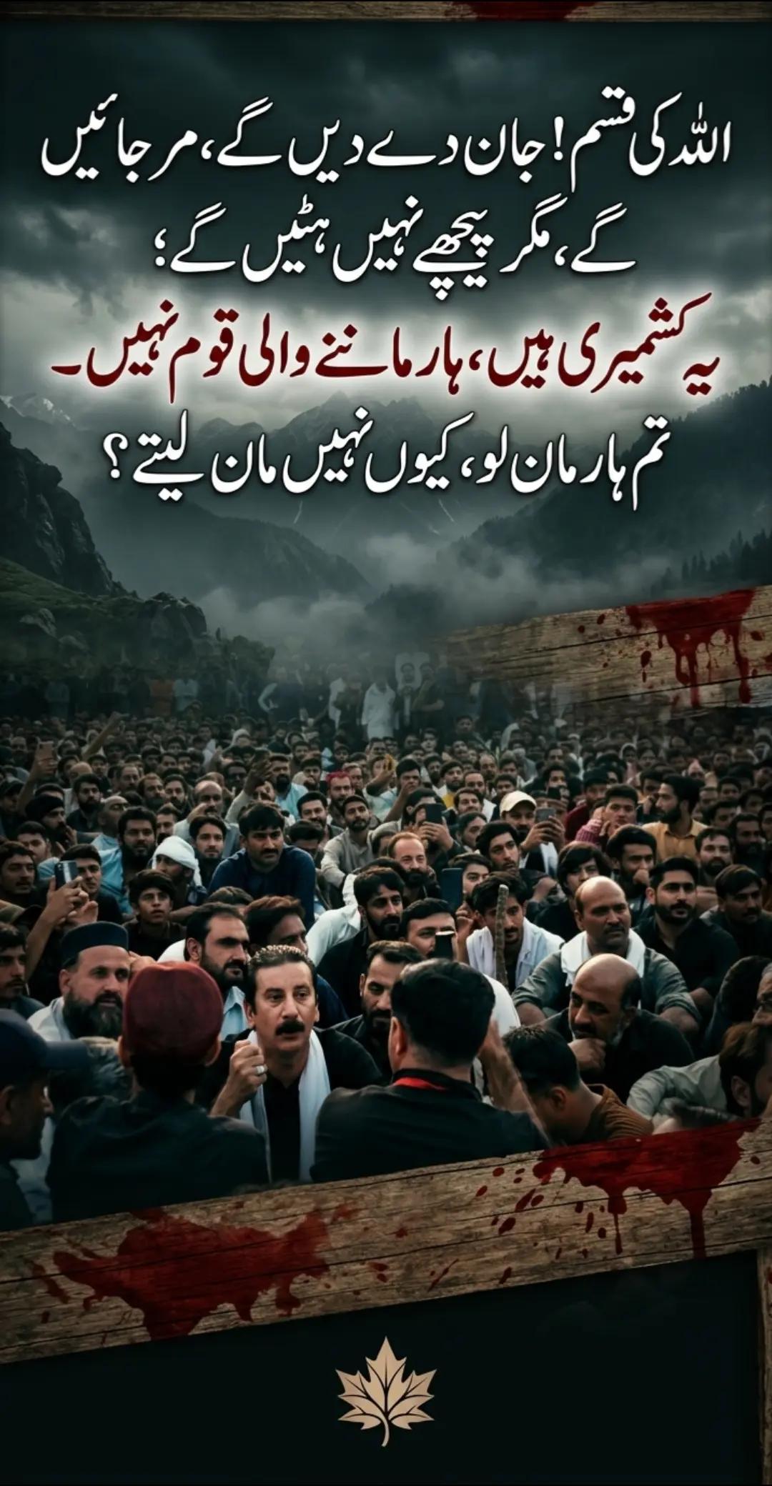 @🍁Wahab Kashmiri کالعدم 🍁