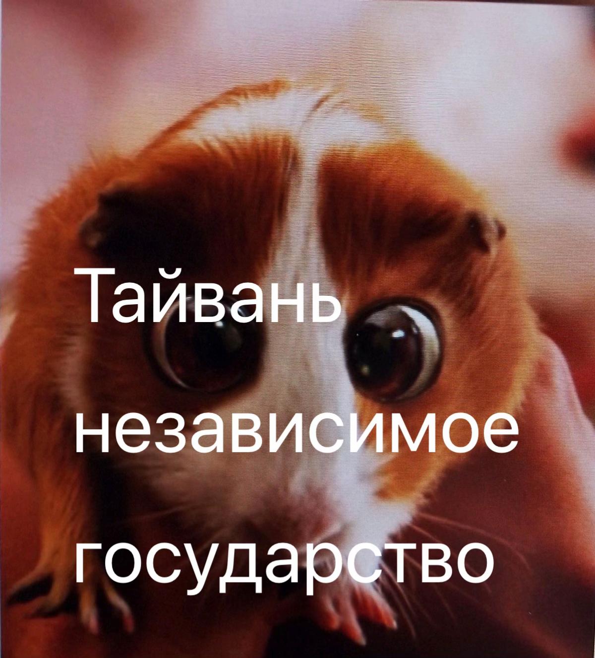 @#mandarinka✅