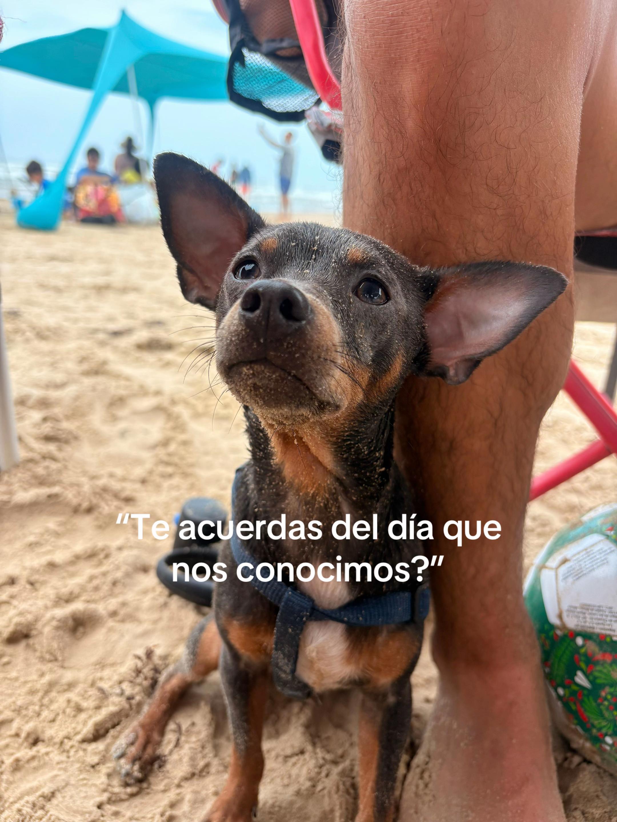@aledelgadom