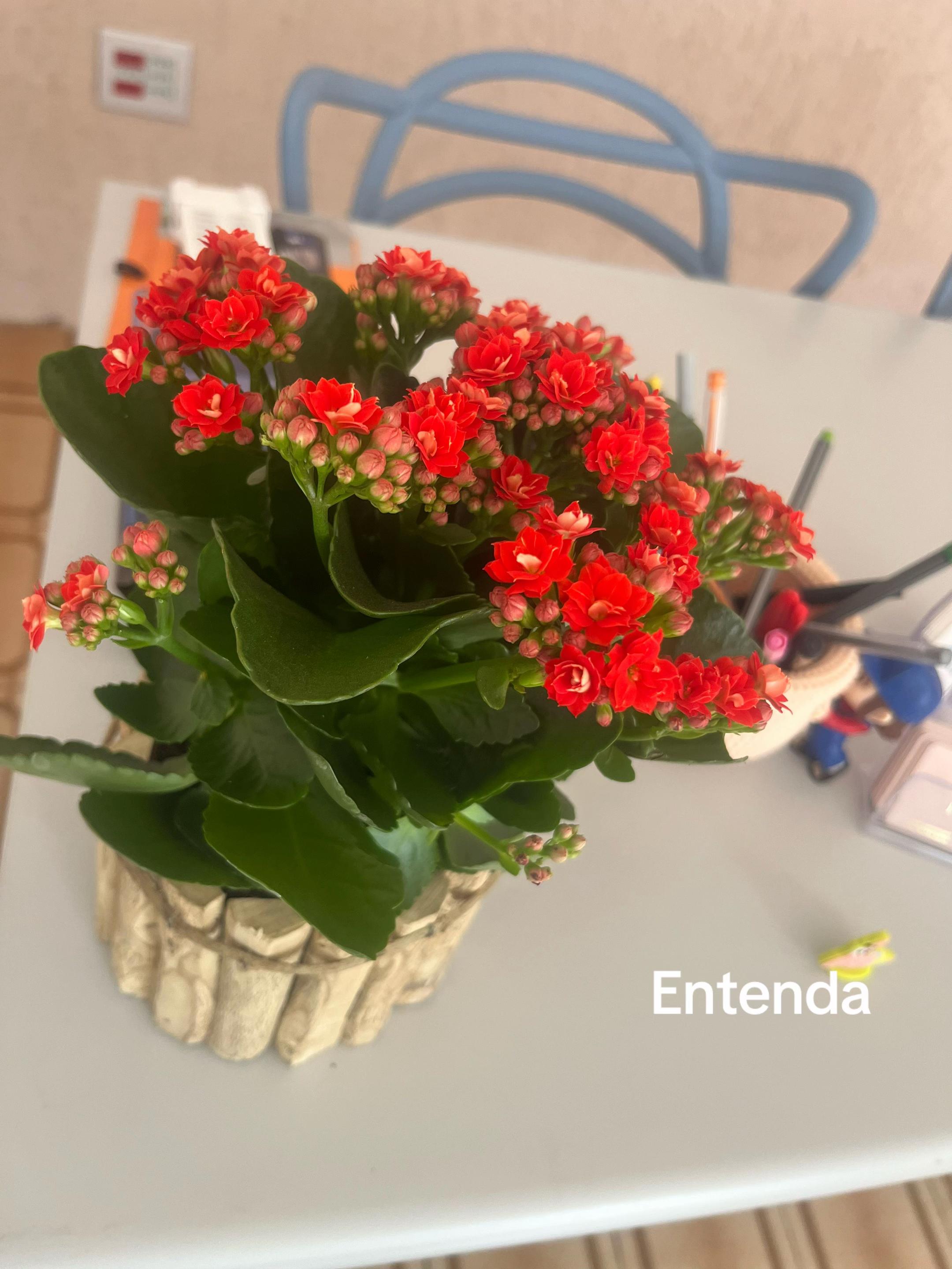 @xx_vitoria53