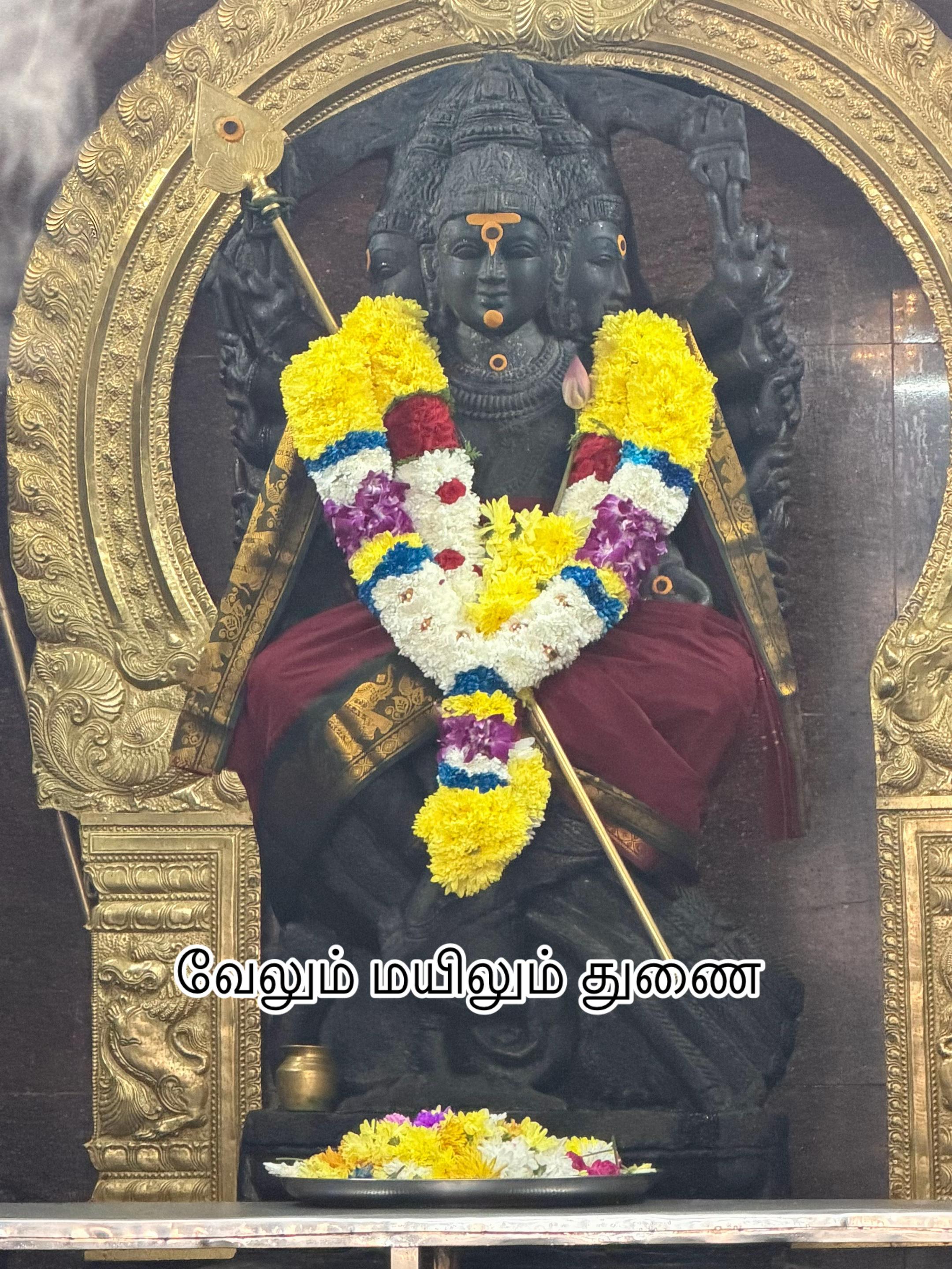@Nirmala