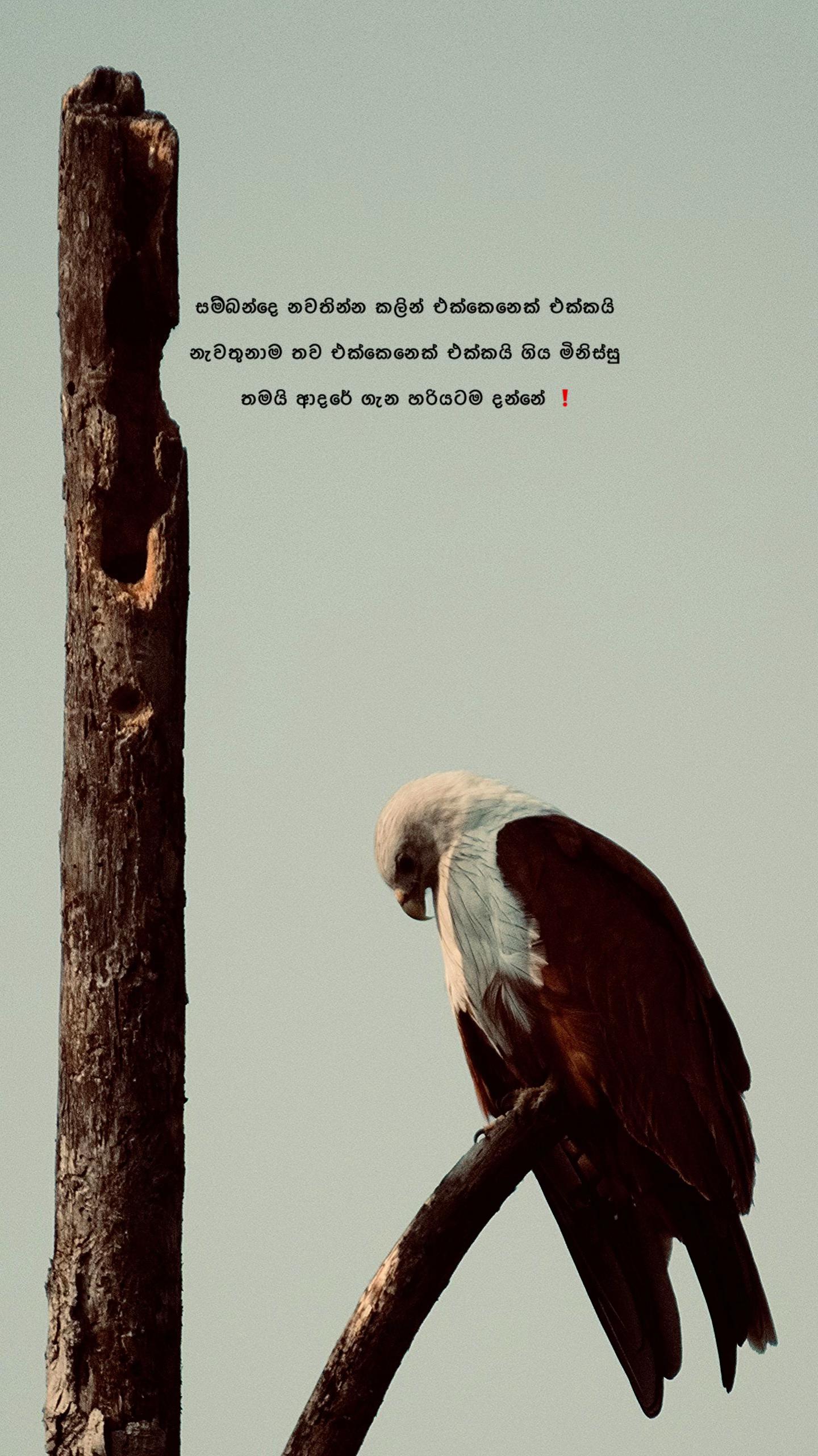 @Diary of Ravindu ๐๐๐จ"