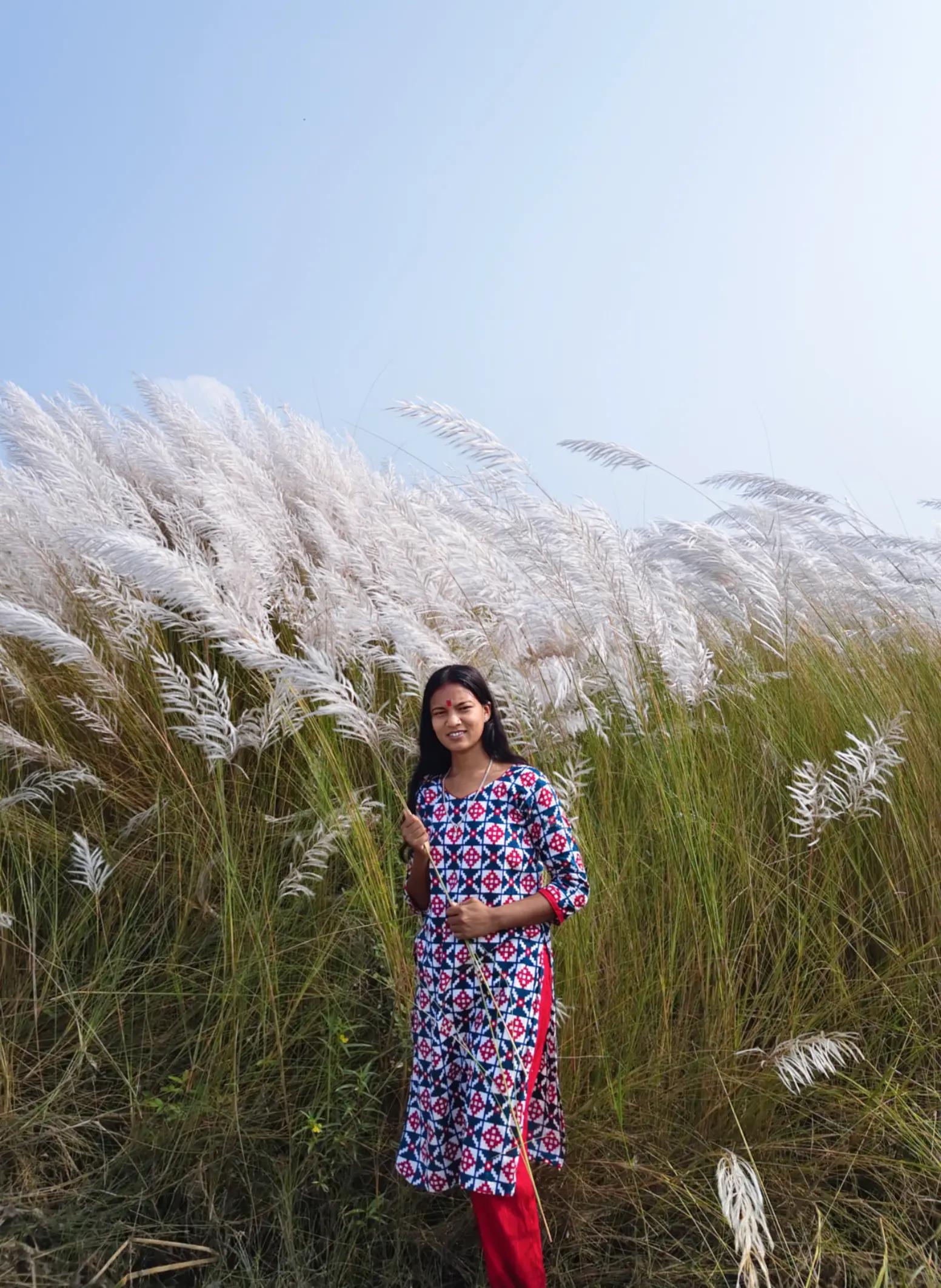 @Anshu Shah🦚🇳🇵🦚
