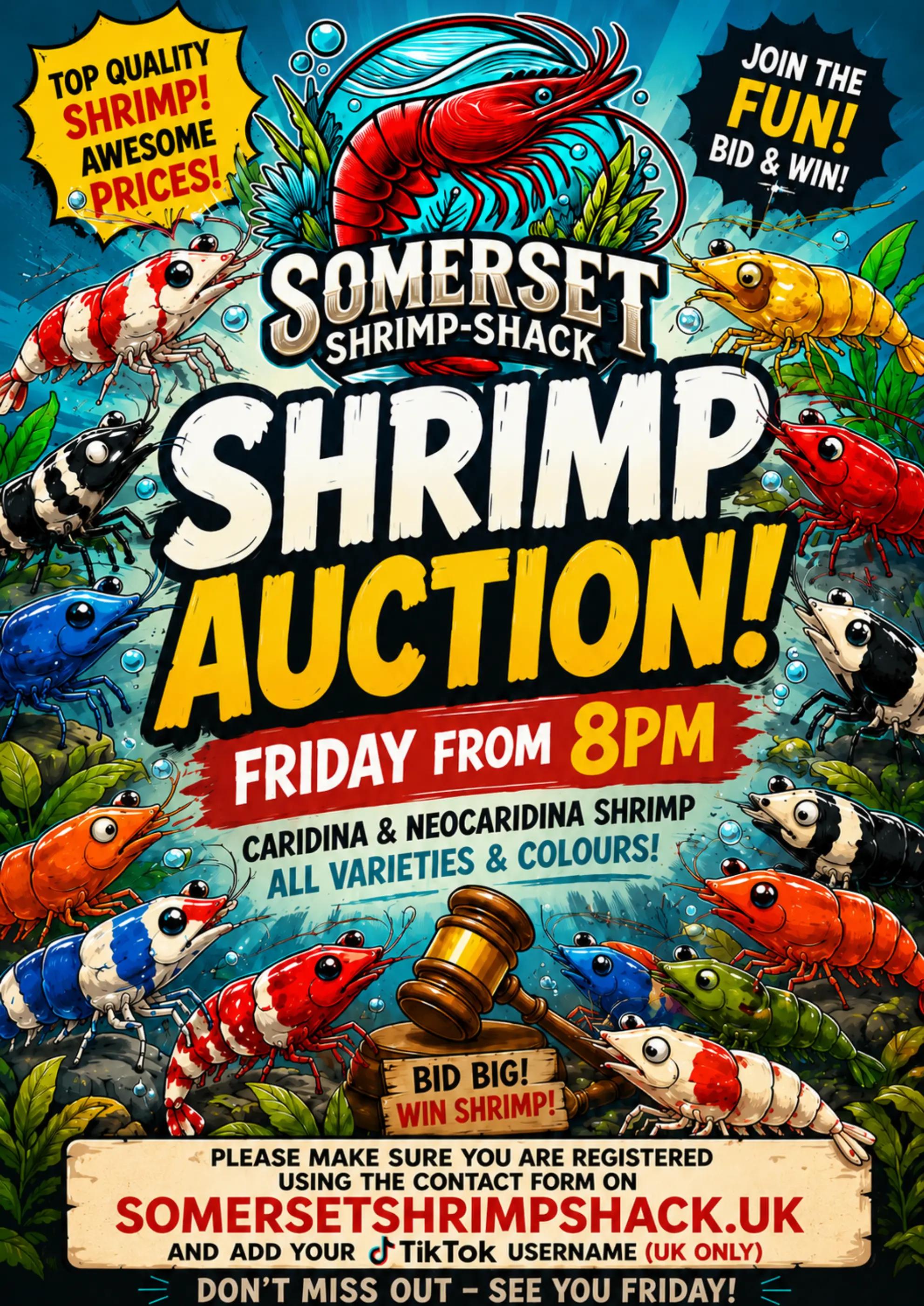 @SomersetShrimpShack