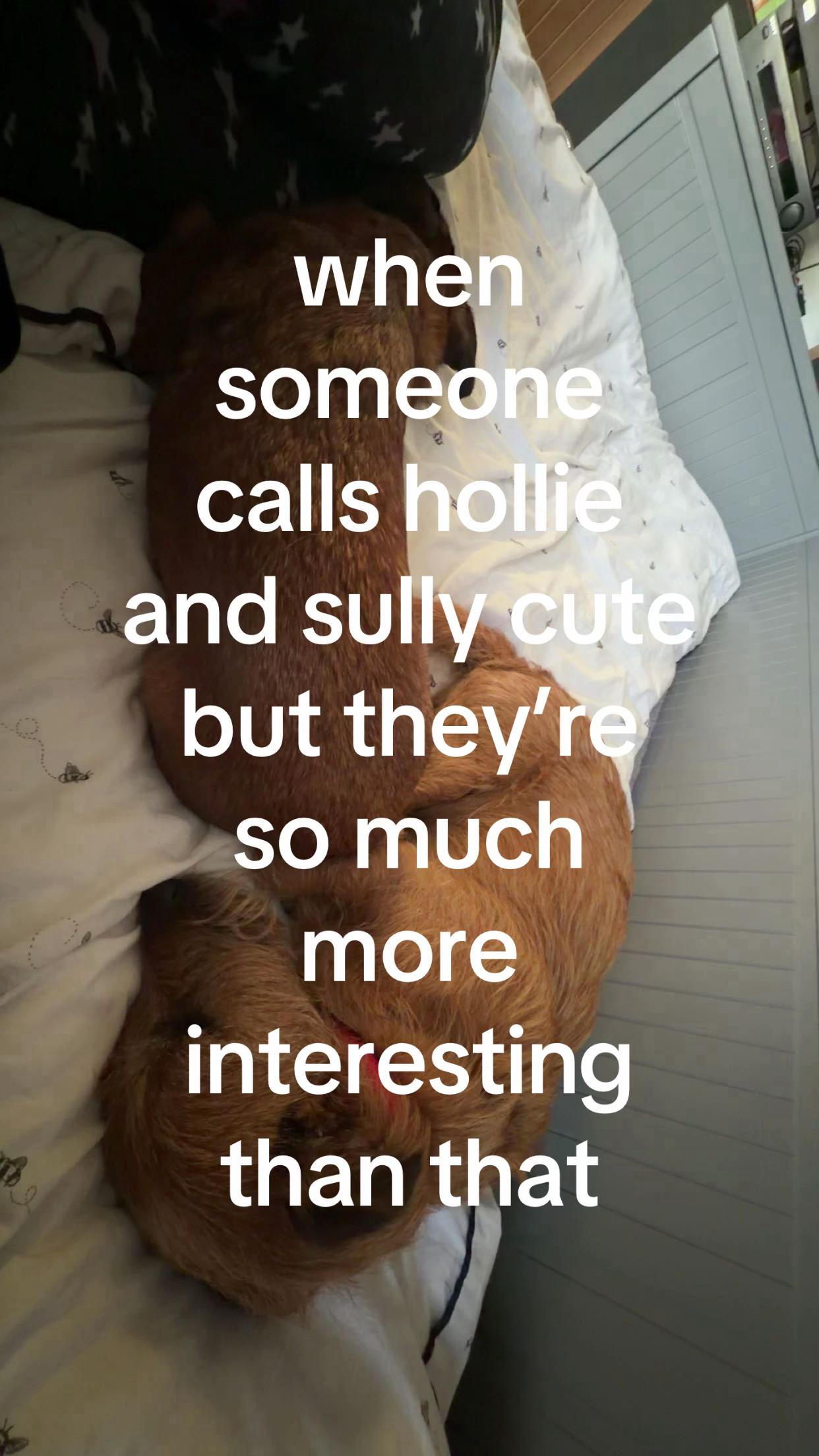 @Lyla 🐐