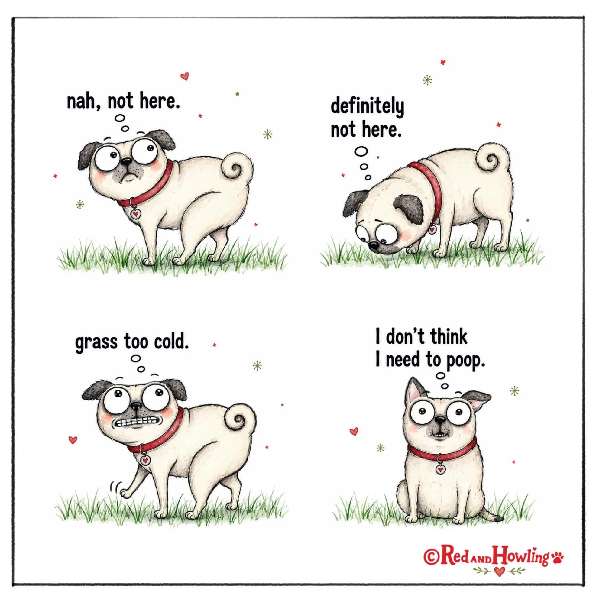 @Katt