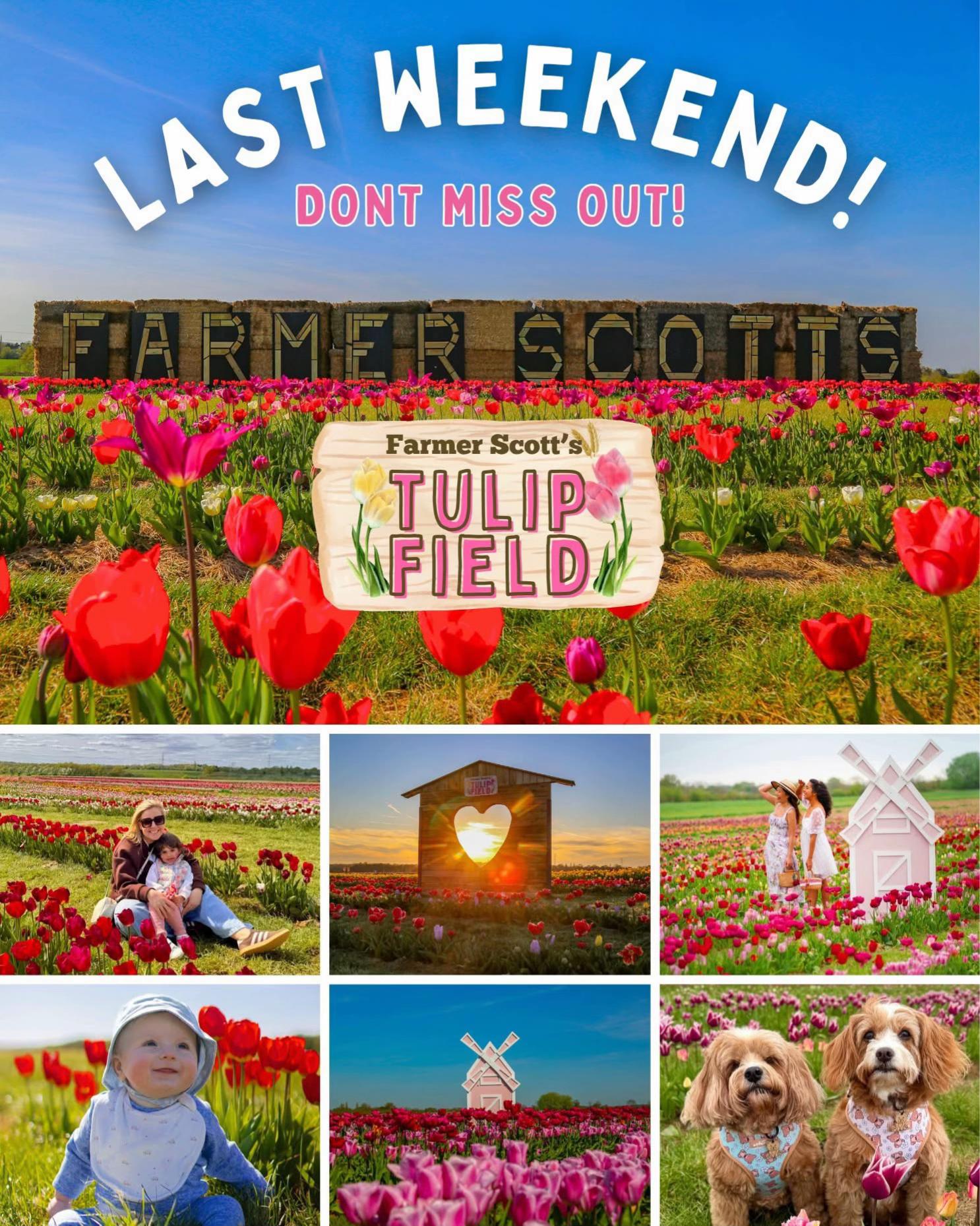 @Farmer Scotts Events