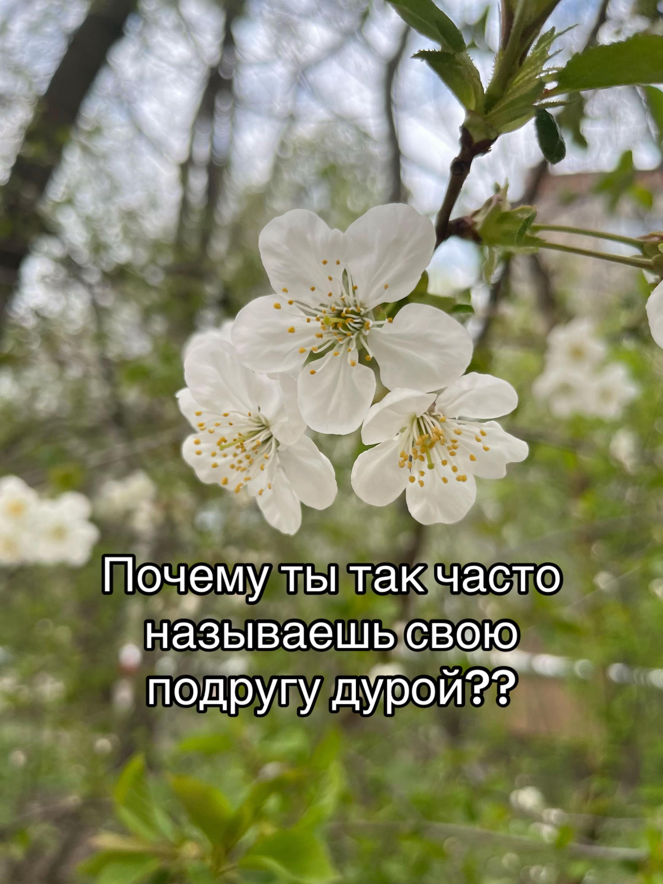 @veronichka🌷