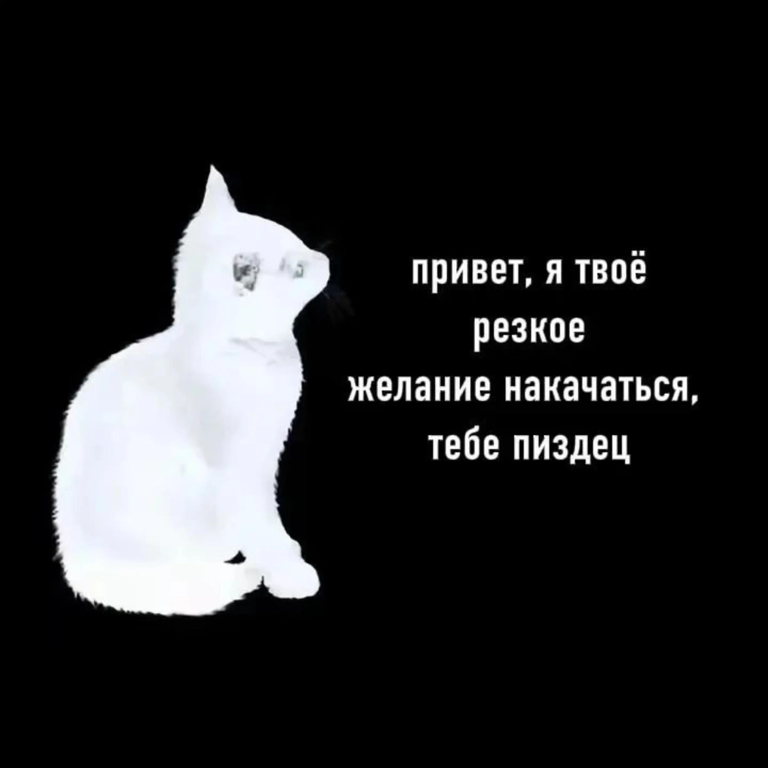 @Litvakov.gym