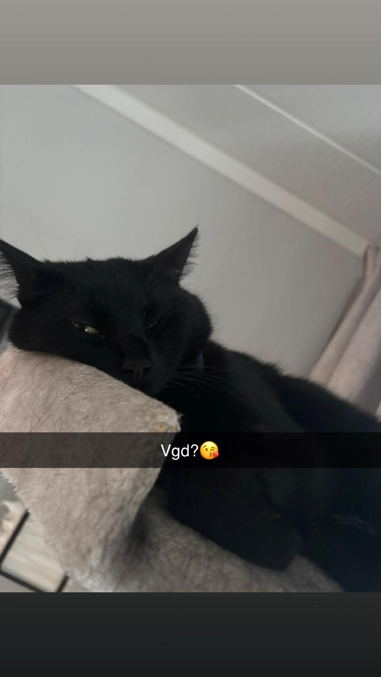 @ronnyolga