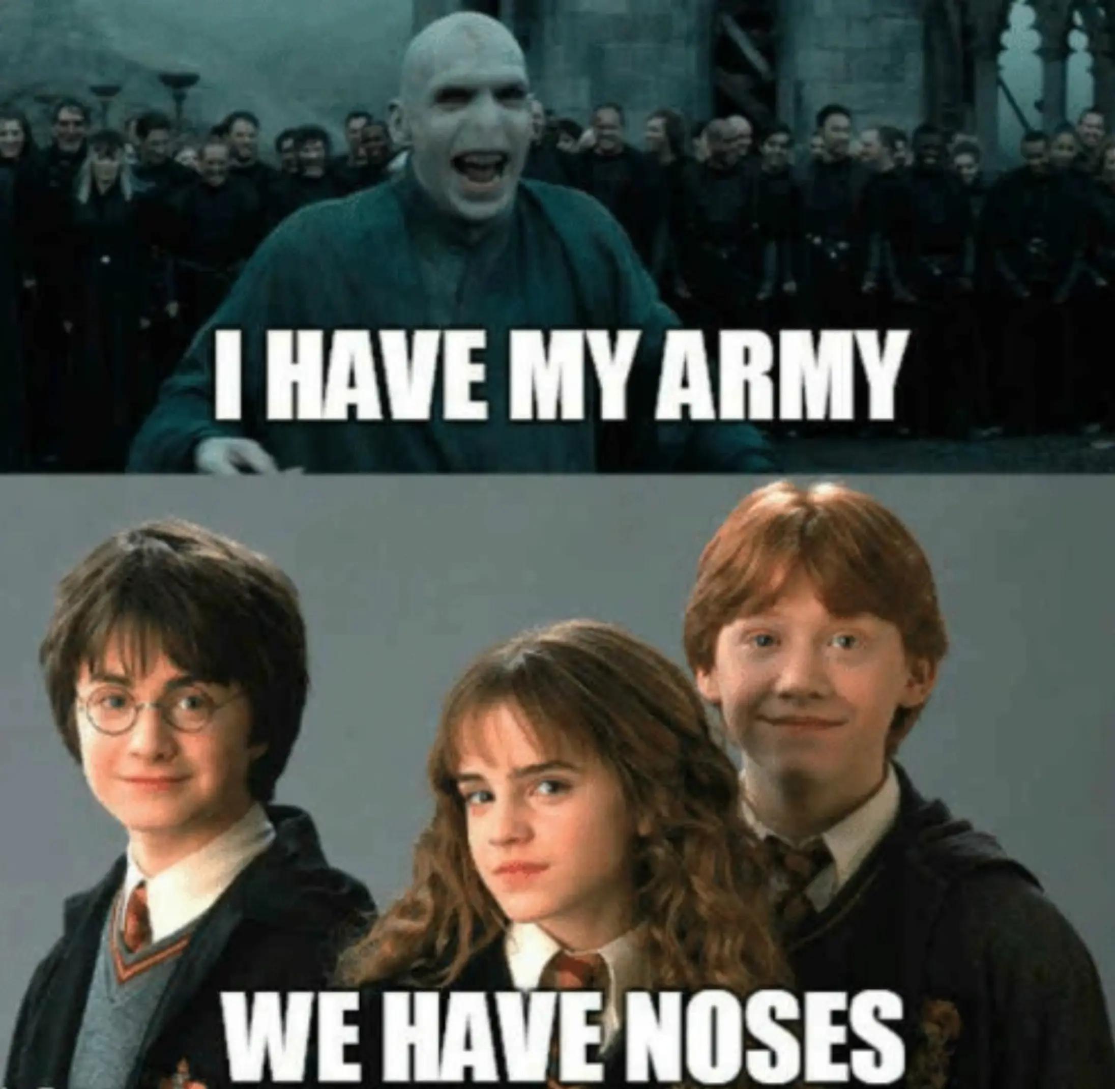 @harrypotterfan8507