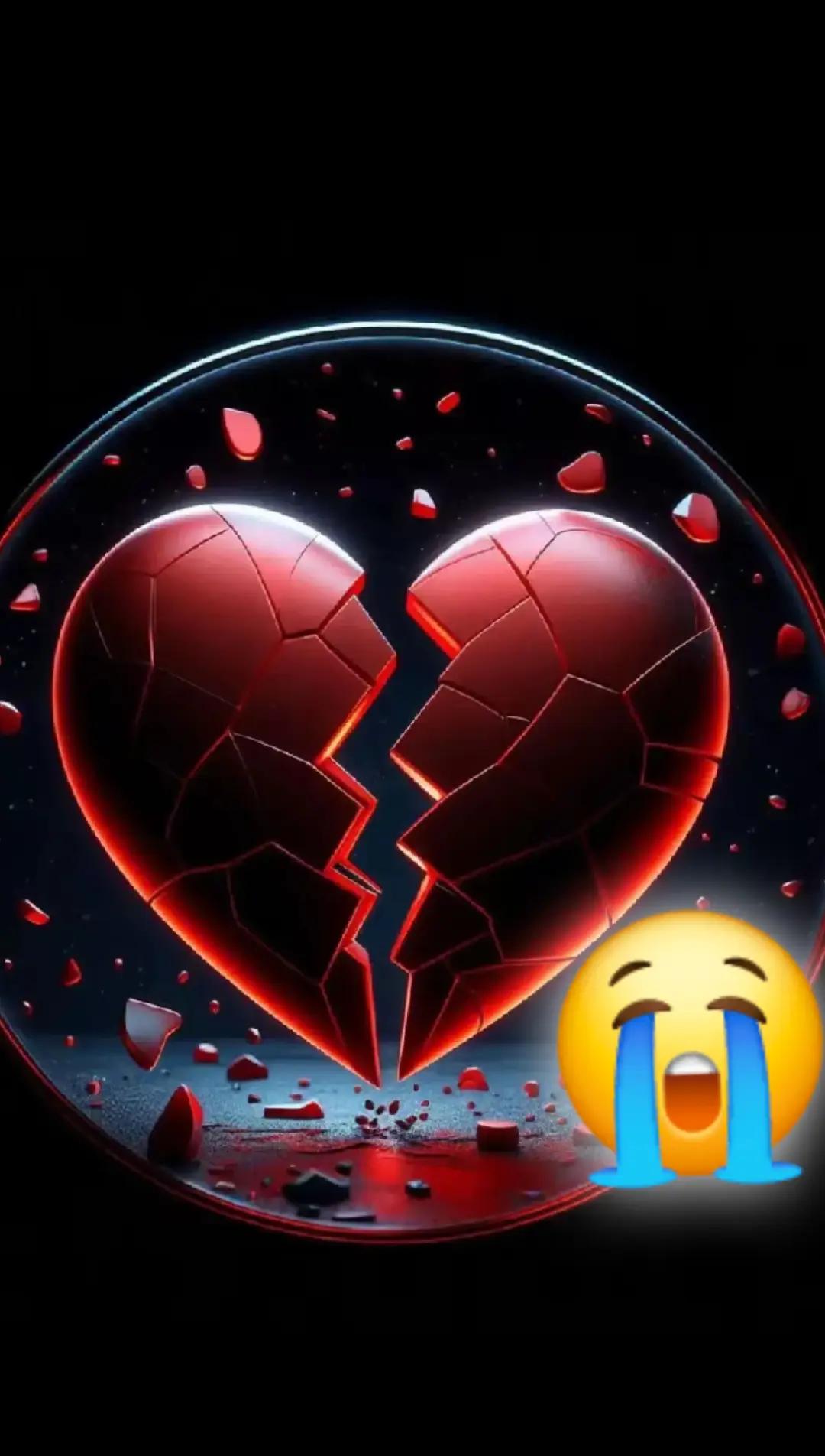@user15981761905