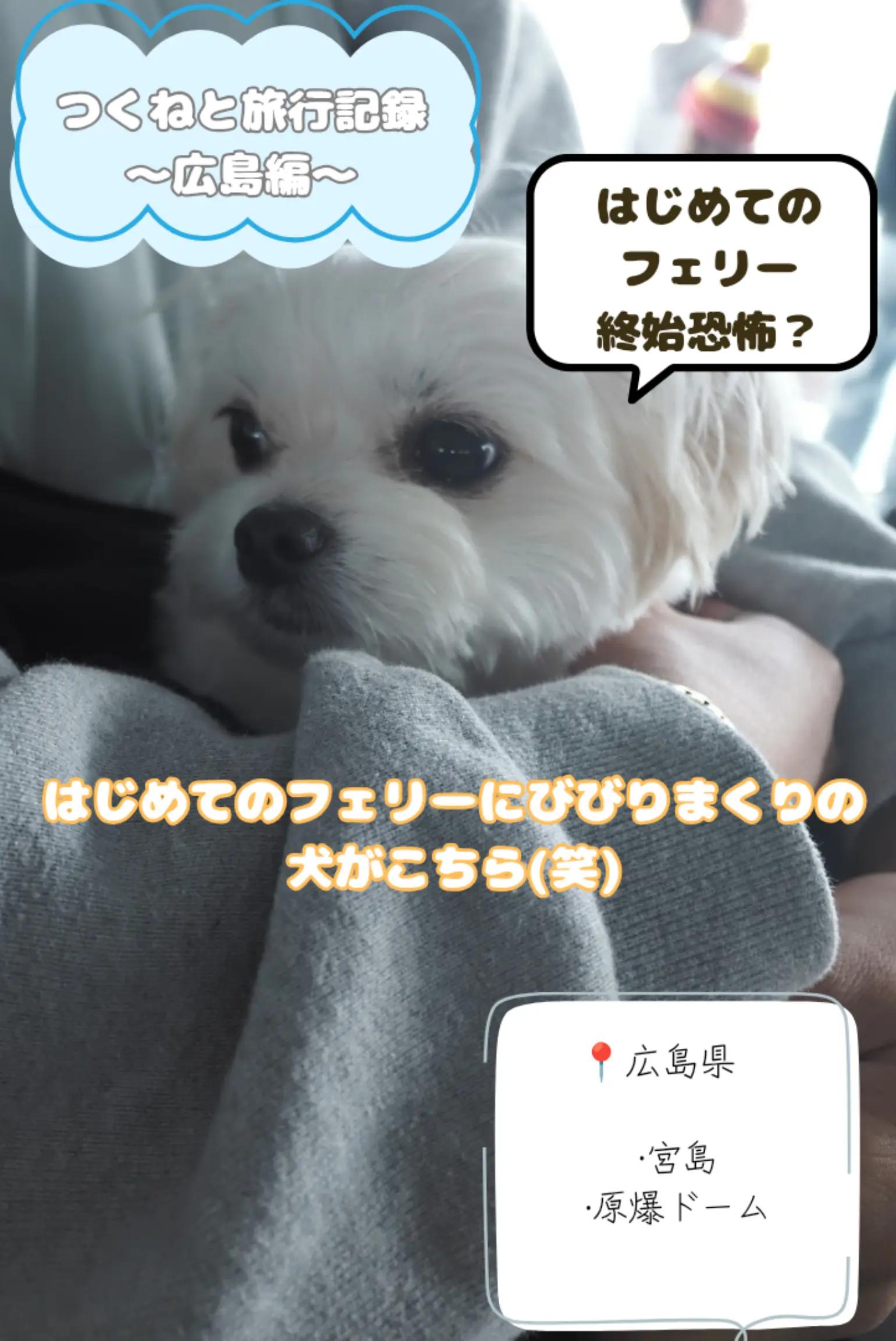 @つくねくん