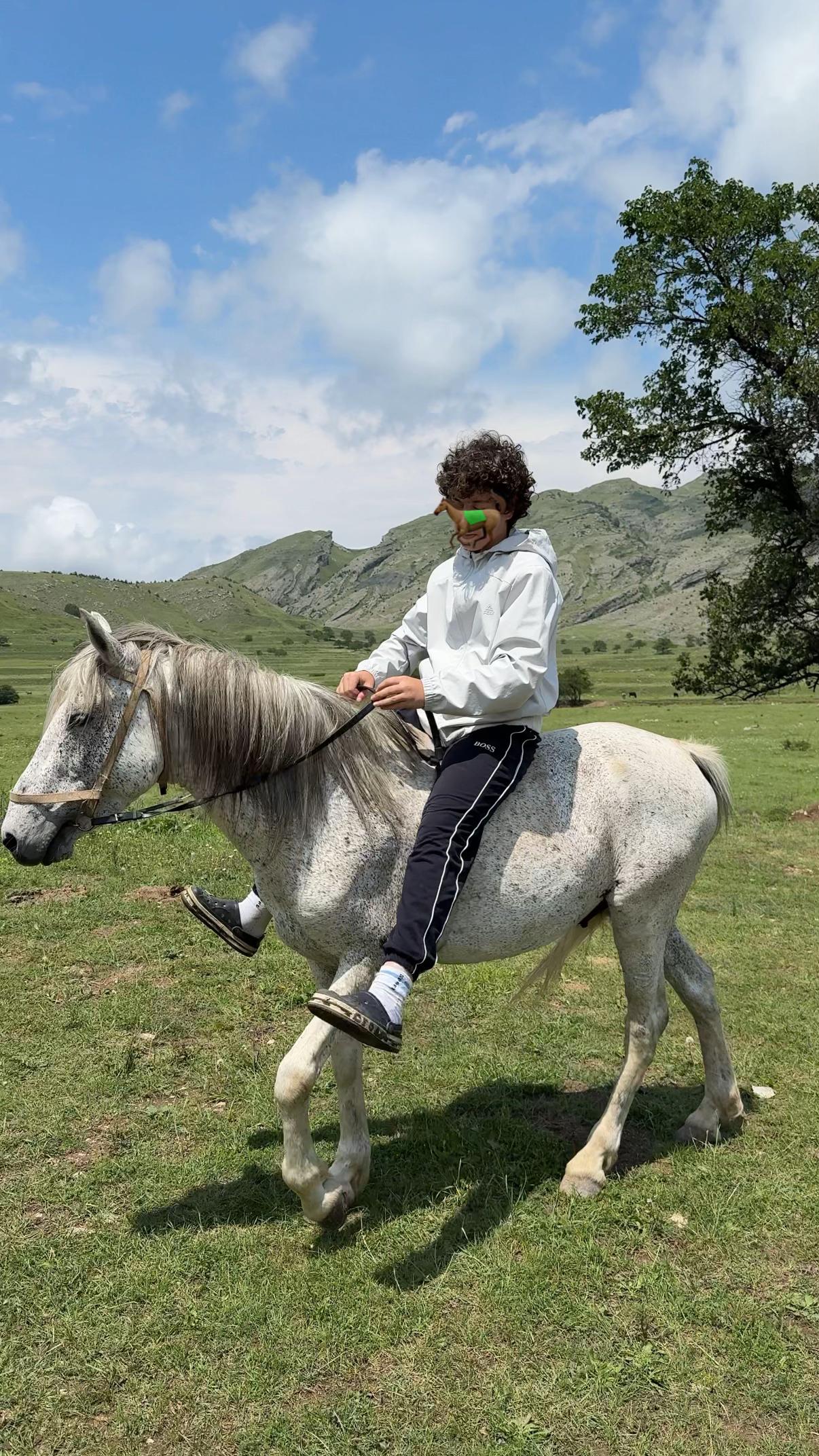 @horselek