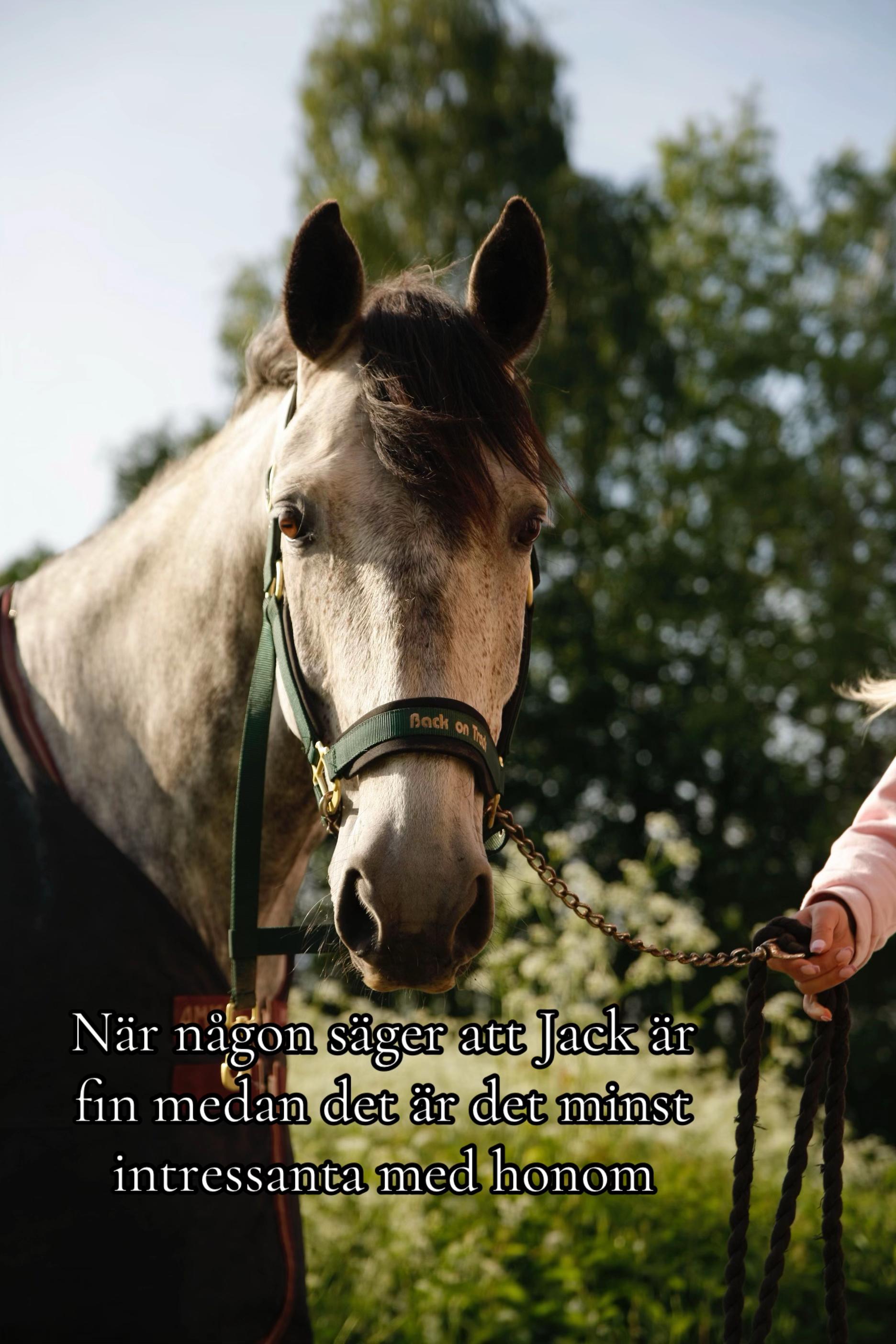 @Alice å Jack🌟