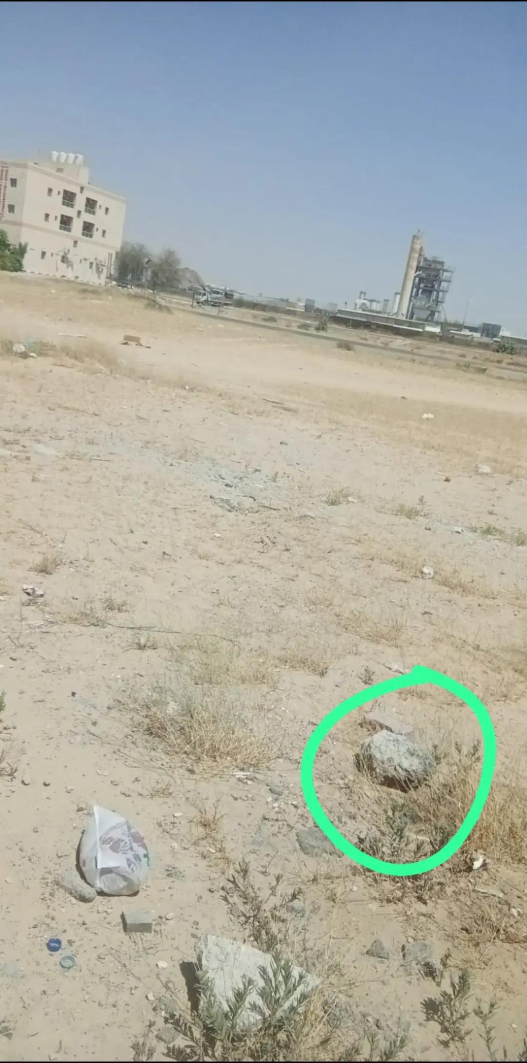 @محمد قاسم