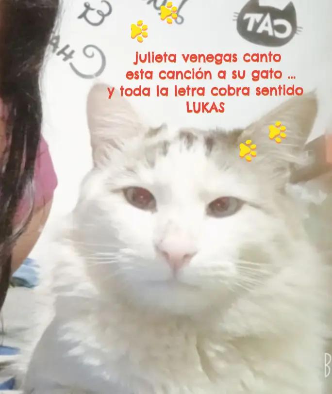 @Dayana Flores22