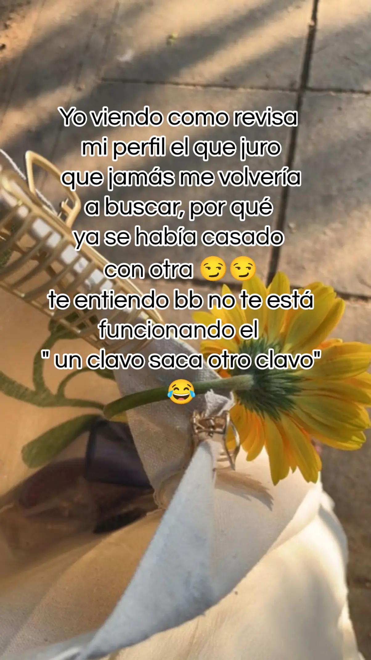 @🦆🌷Janeth de neto🌷🦆