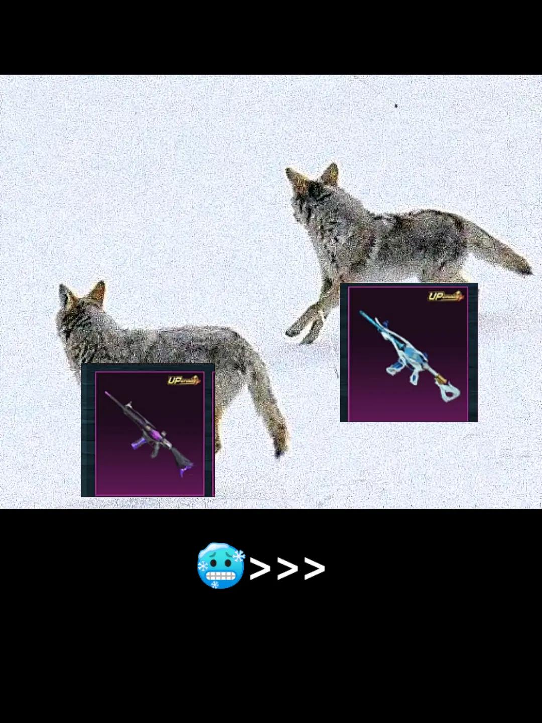 @GOLEM