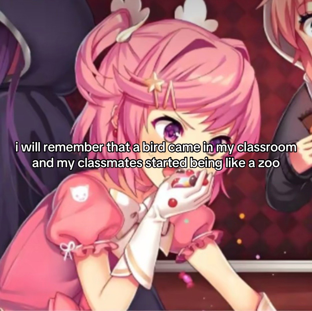@🧁Natsuki📚/🌑Luna/Moon🌕