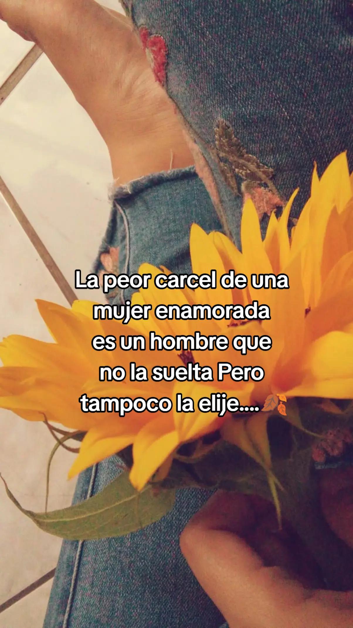 @🦆🌷Janeth de neto🌷🦆