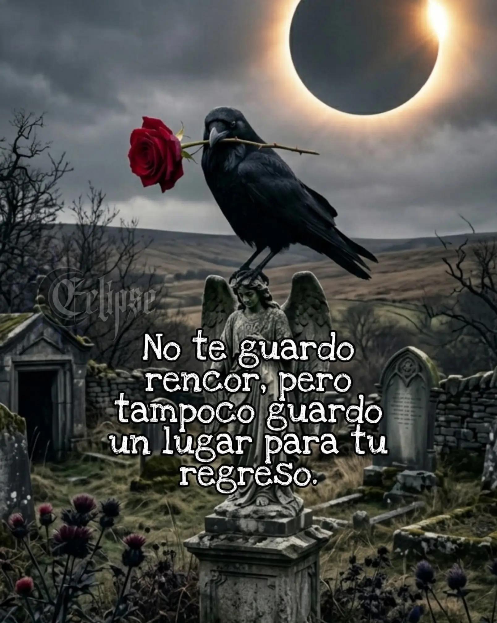 @Rosmery774💞