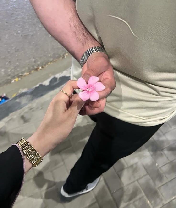@𝐀𝐢𝐥𝐮𝐫𝐨𝐩𝐡𝐢𝐥𝐞 🗽