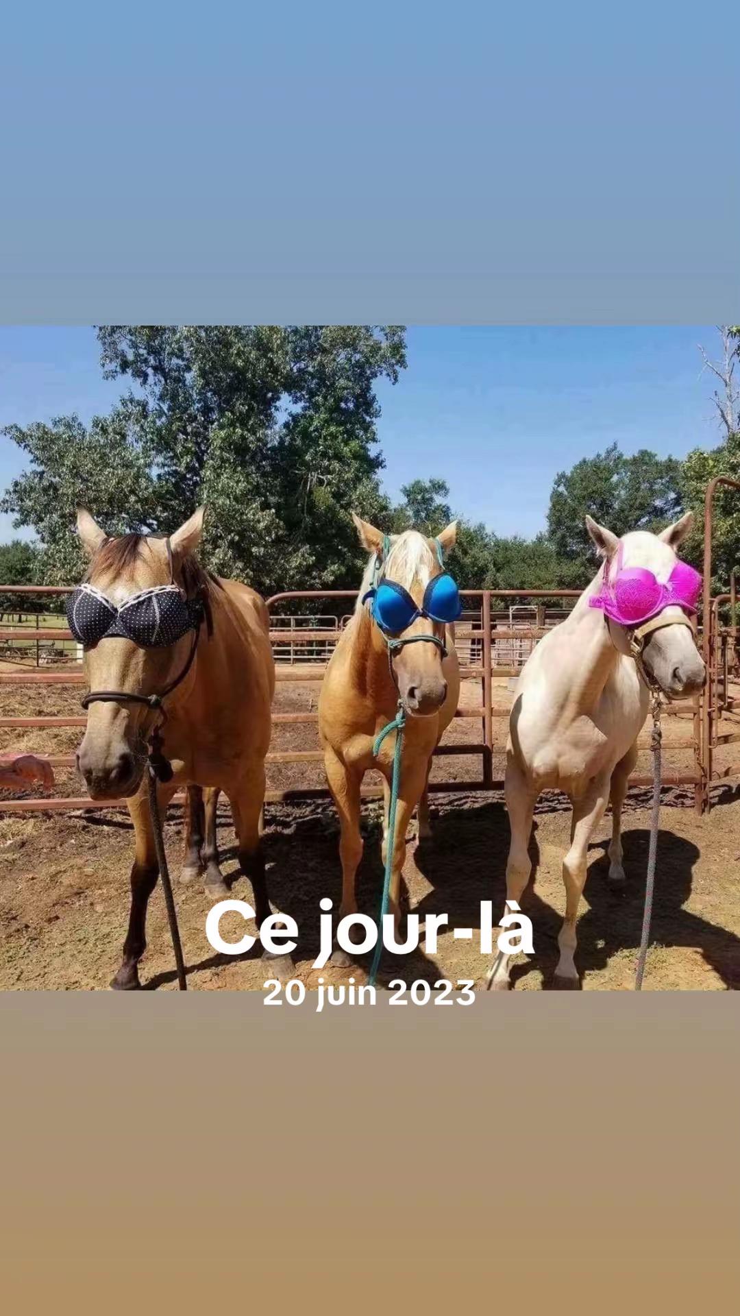 @Le québécois coach