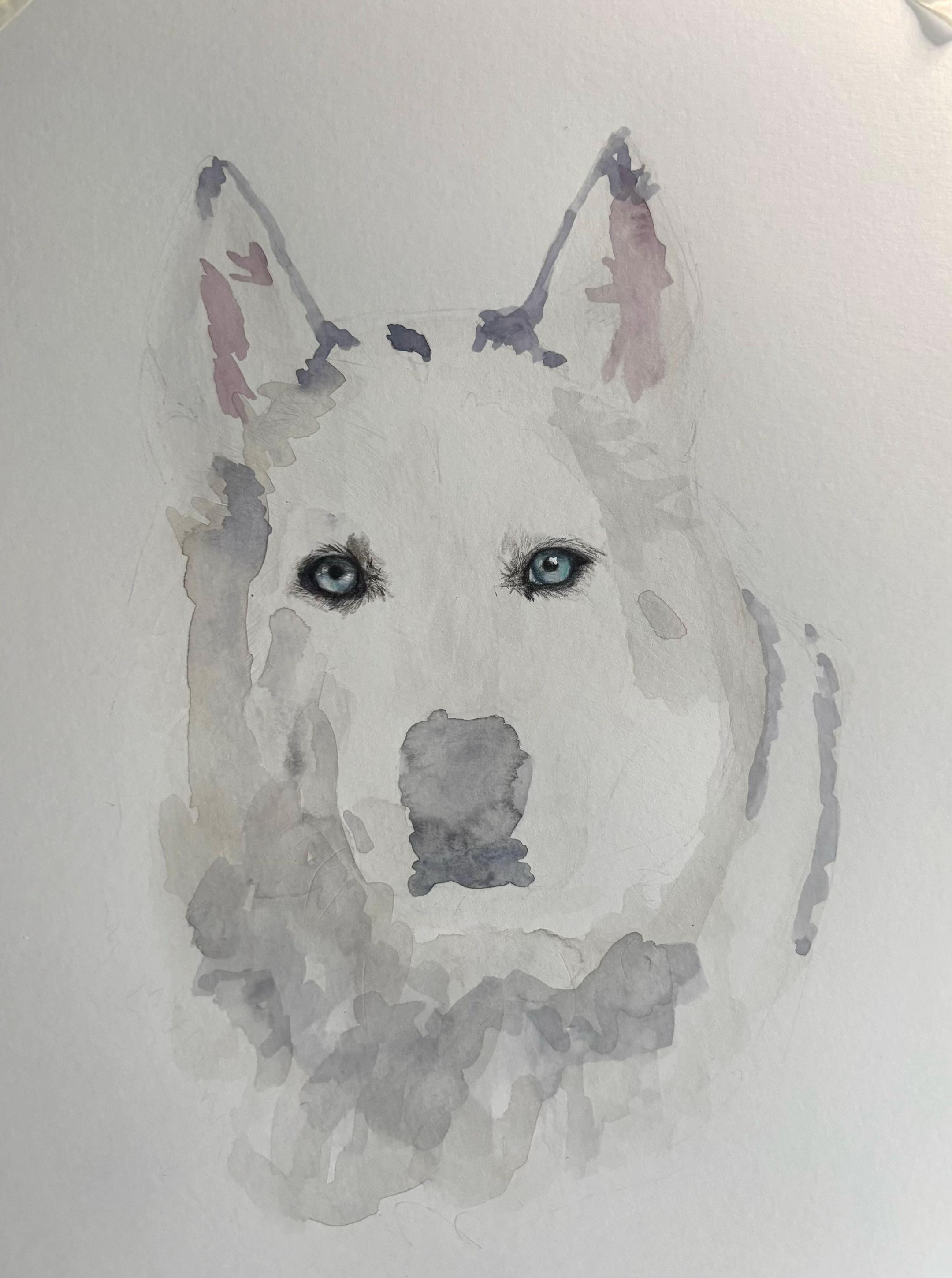 @Fins_fine_art