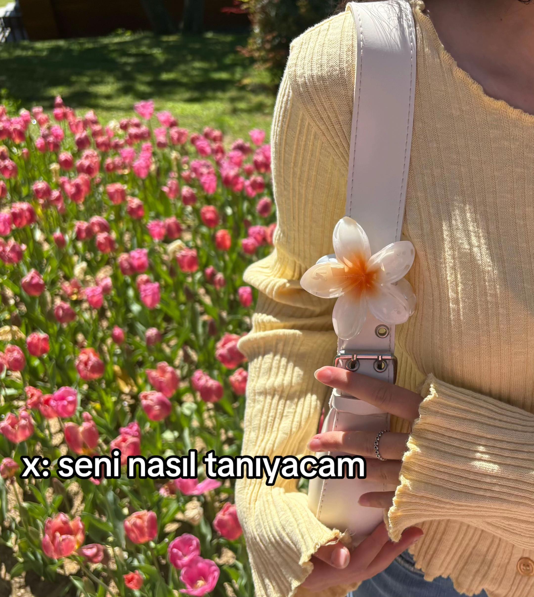 @nisaa_190777