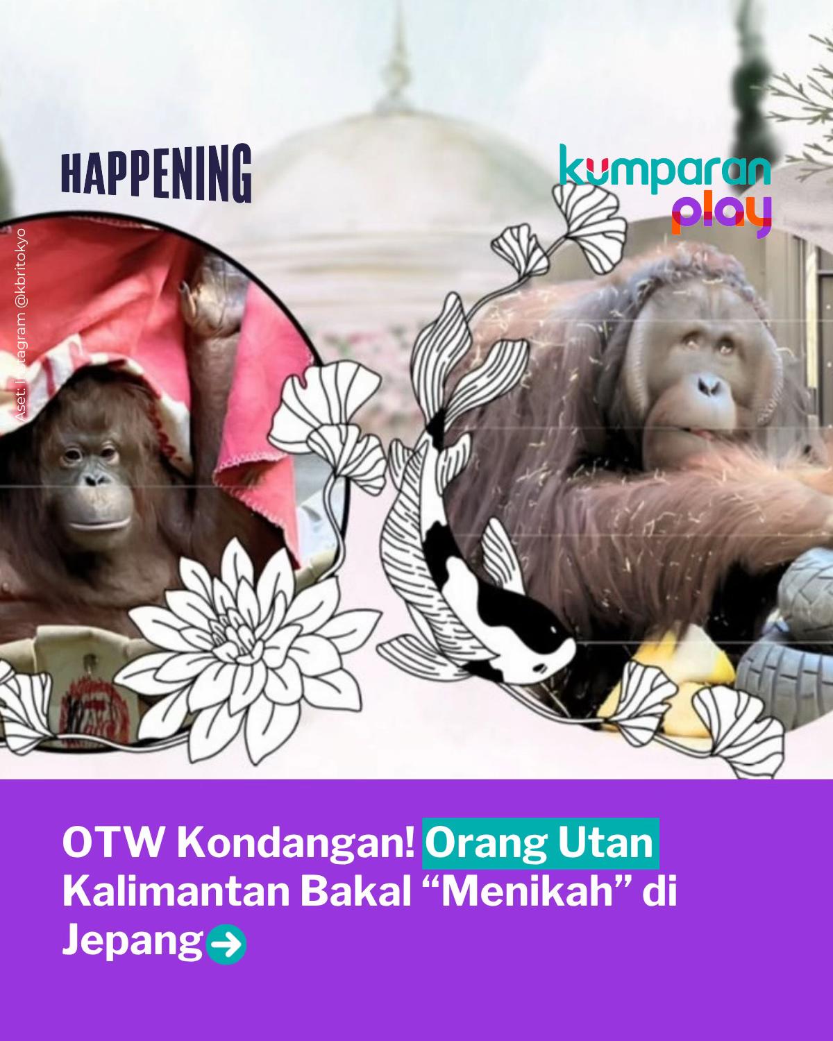 @kumparanPLAY