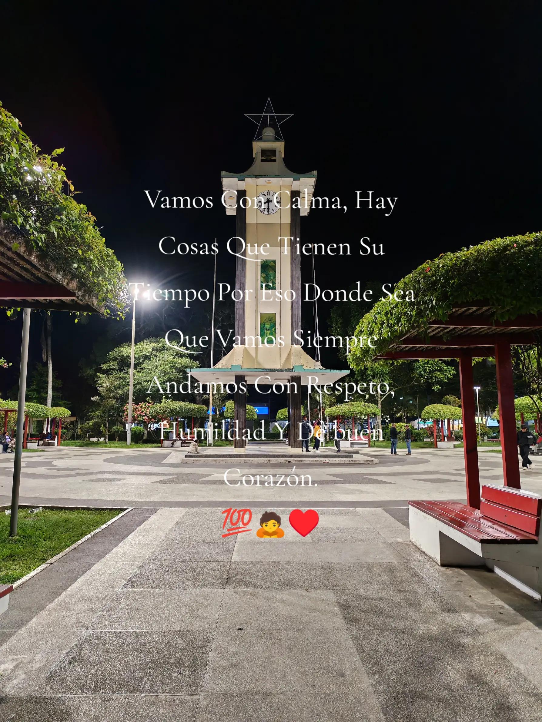 @Johel A.Quispe1