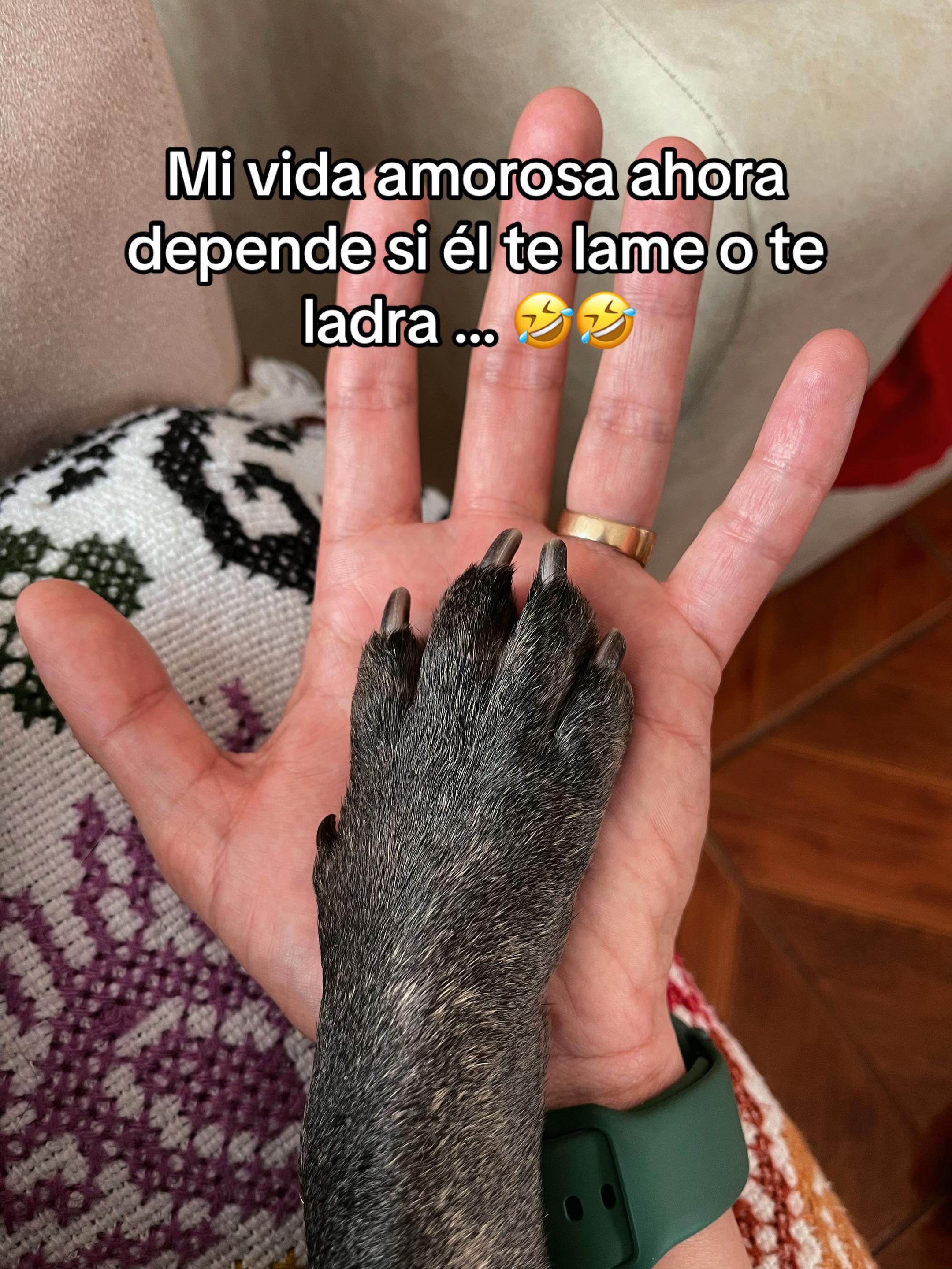 @Diego Paredes