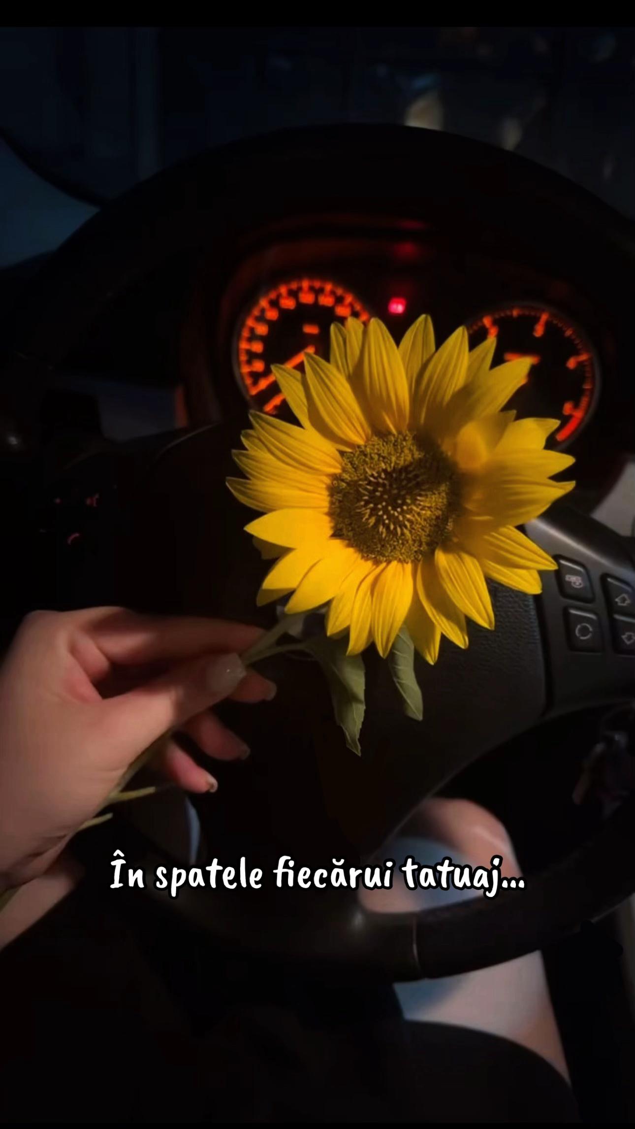@Oana