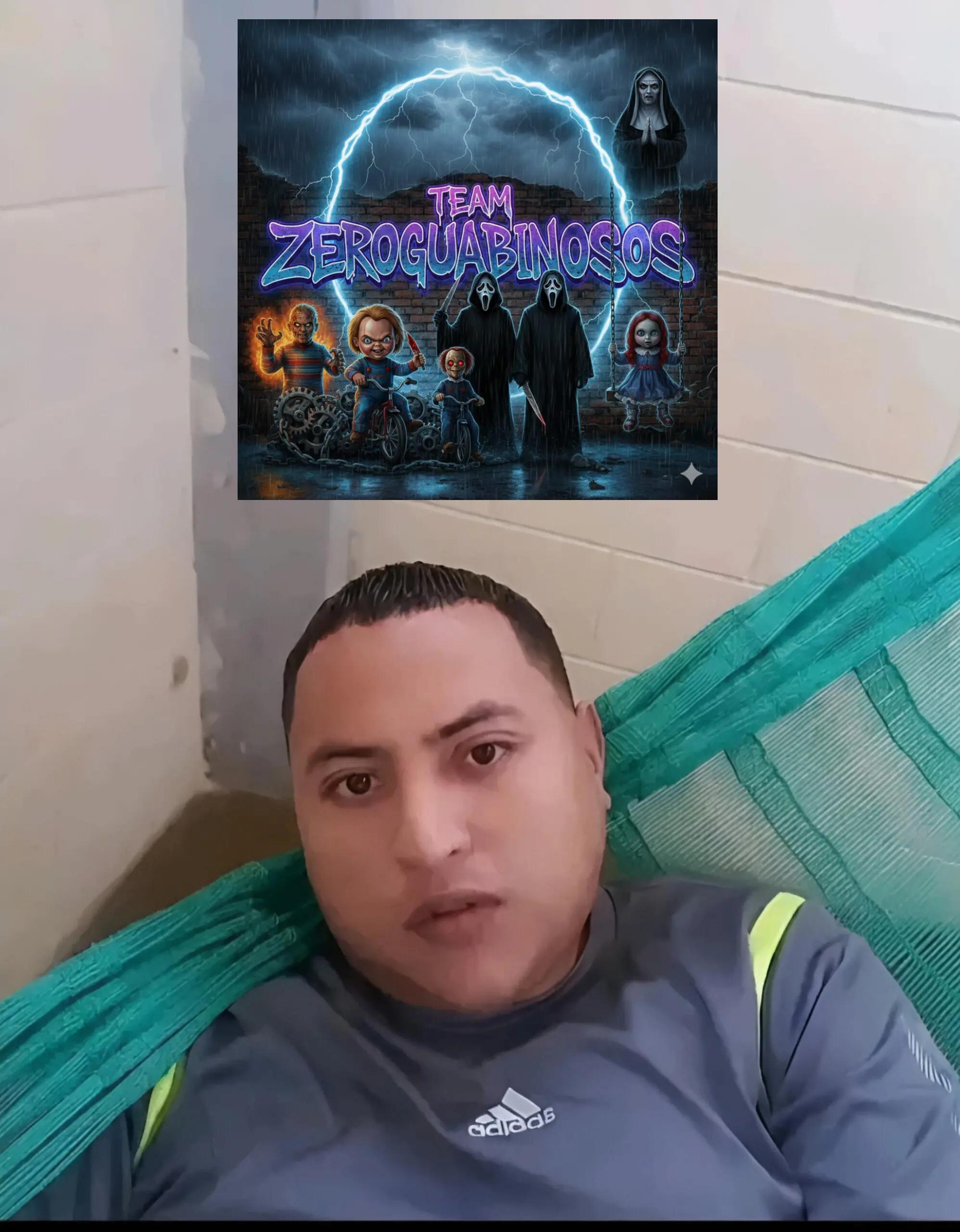 @&trade;ZeroGuabinosos ⚡🇻🇪