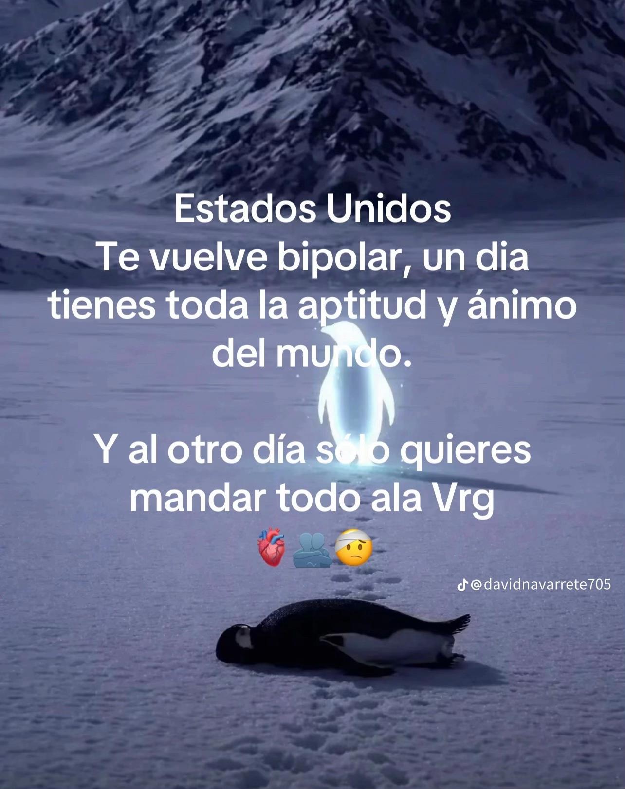 @fabricio ramirez