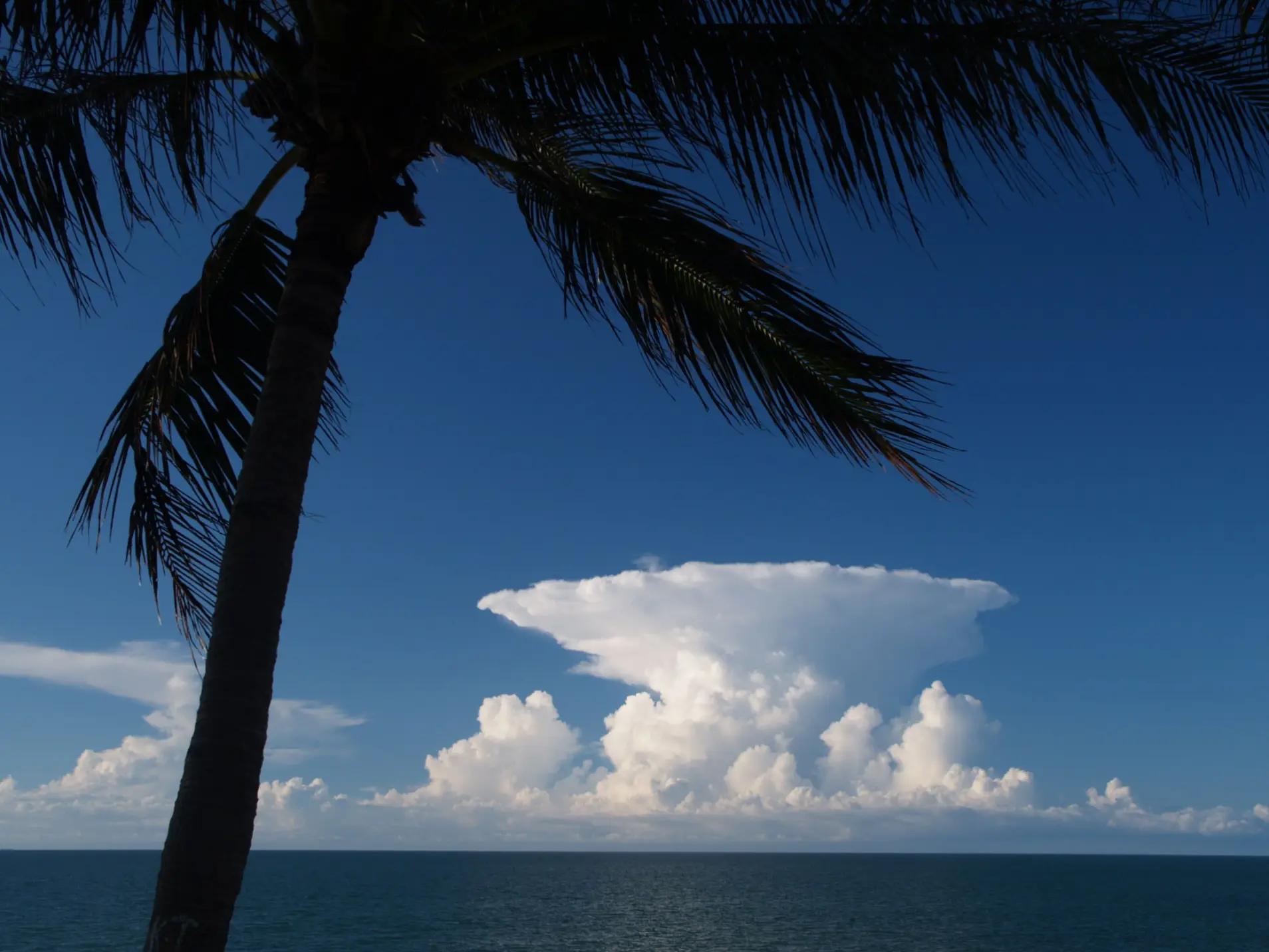 @🌪⛈️~Vortex Clouds ~⛈️🌪