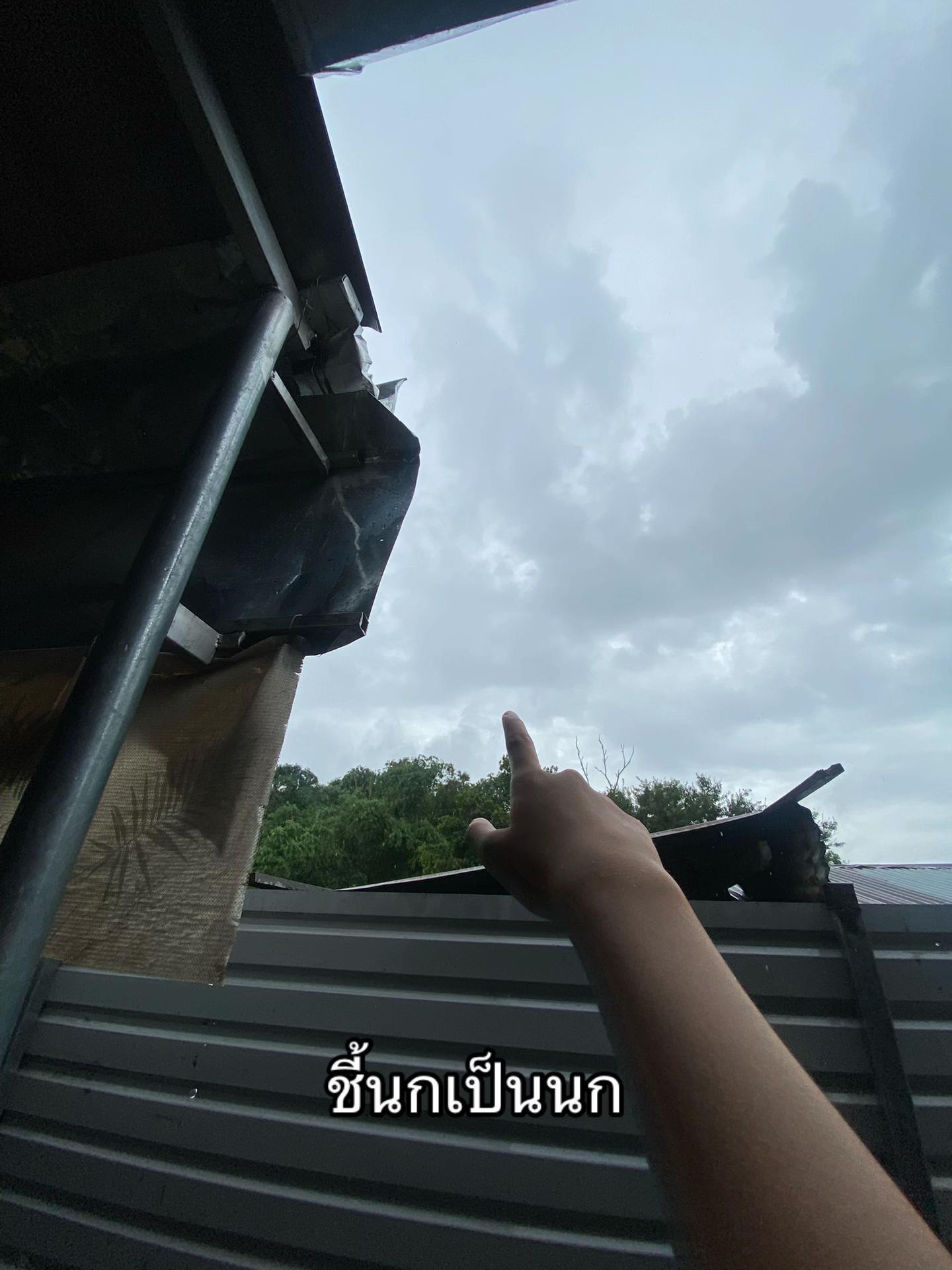 @ญ่าเอง‘ง🐽🦊