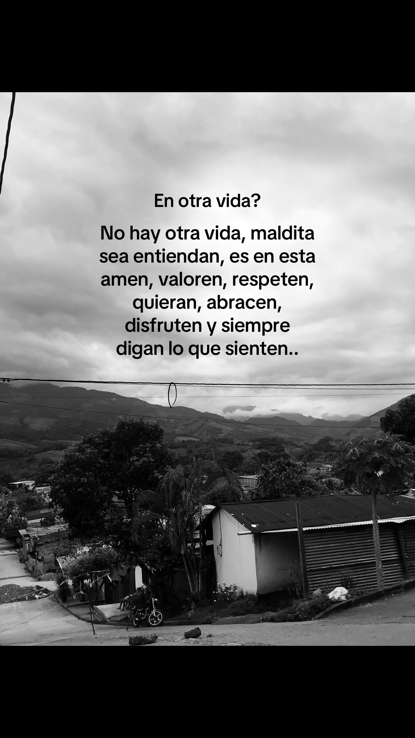 @𝓐𝓵𝓶𝓪ᥫ᭡: