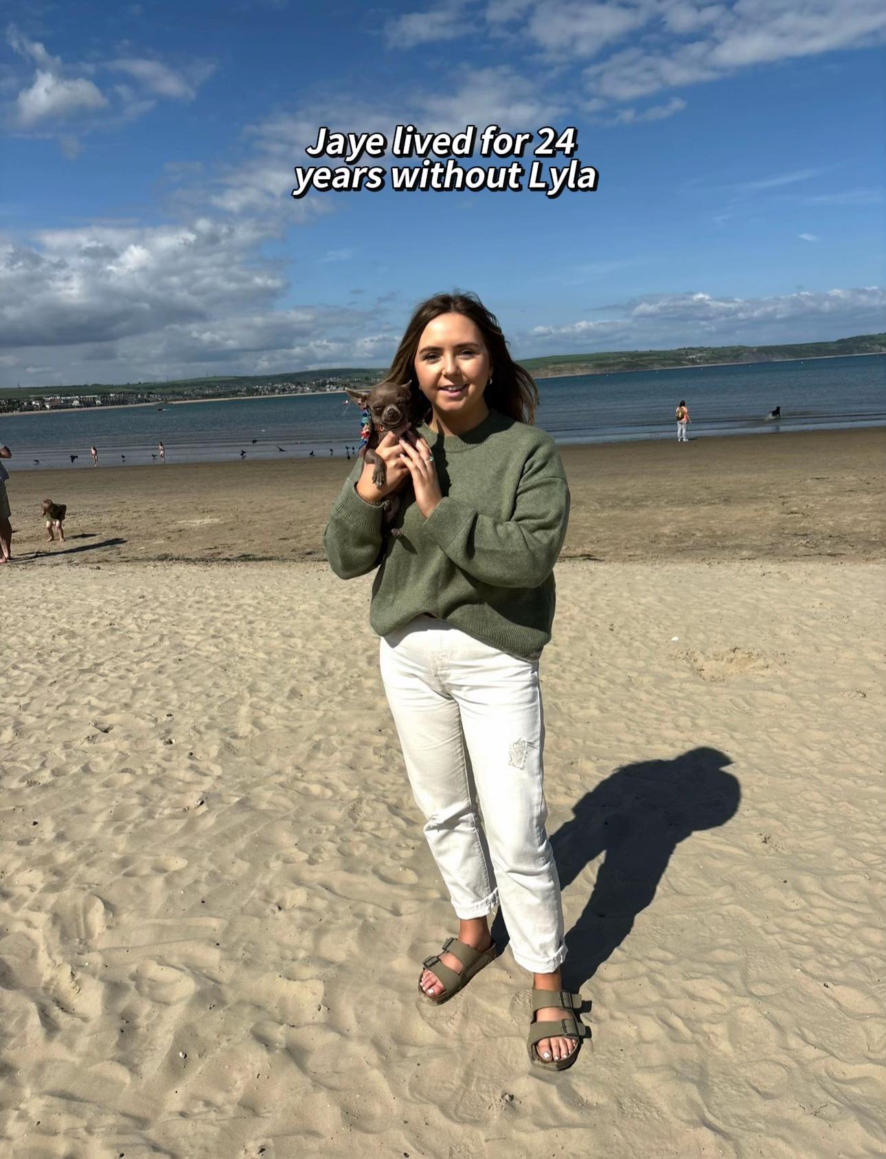 @jayehodder