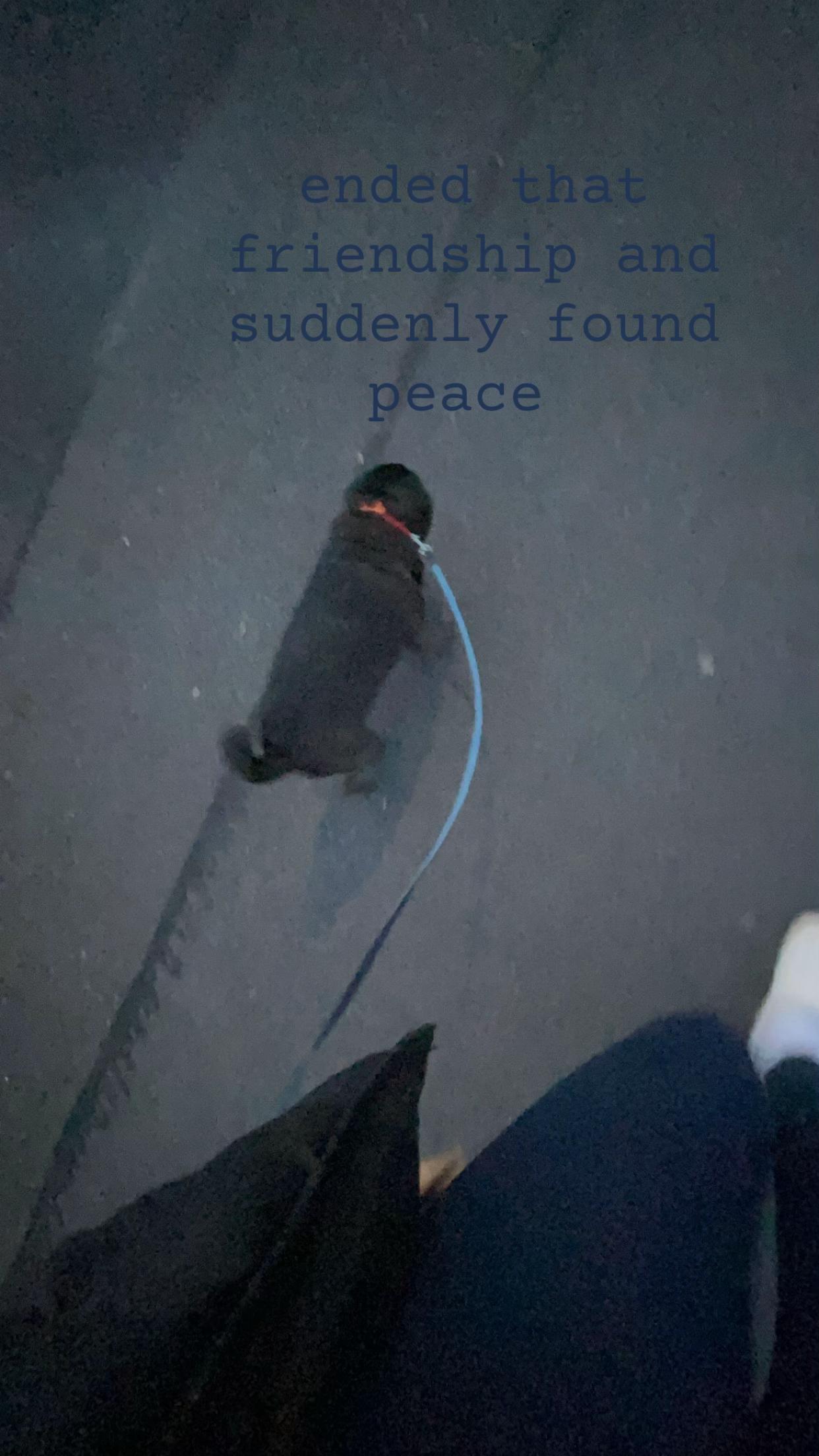 @๐ฎโด๐
๐ฝ๐พ๐ถ