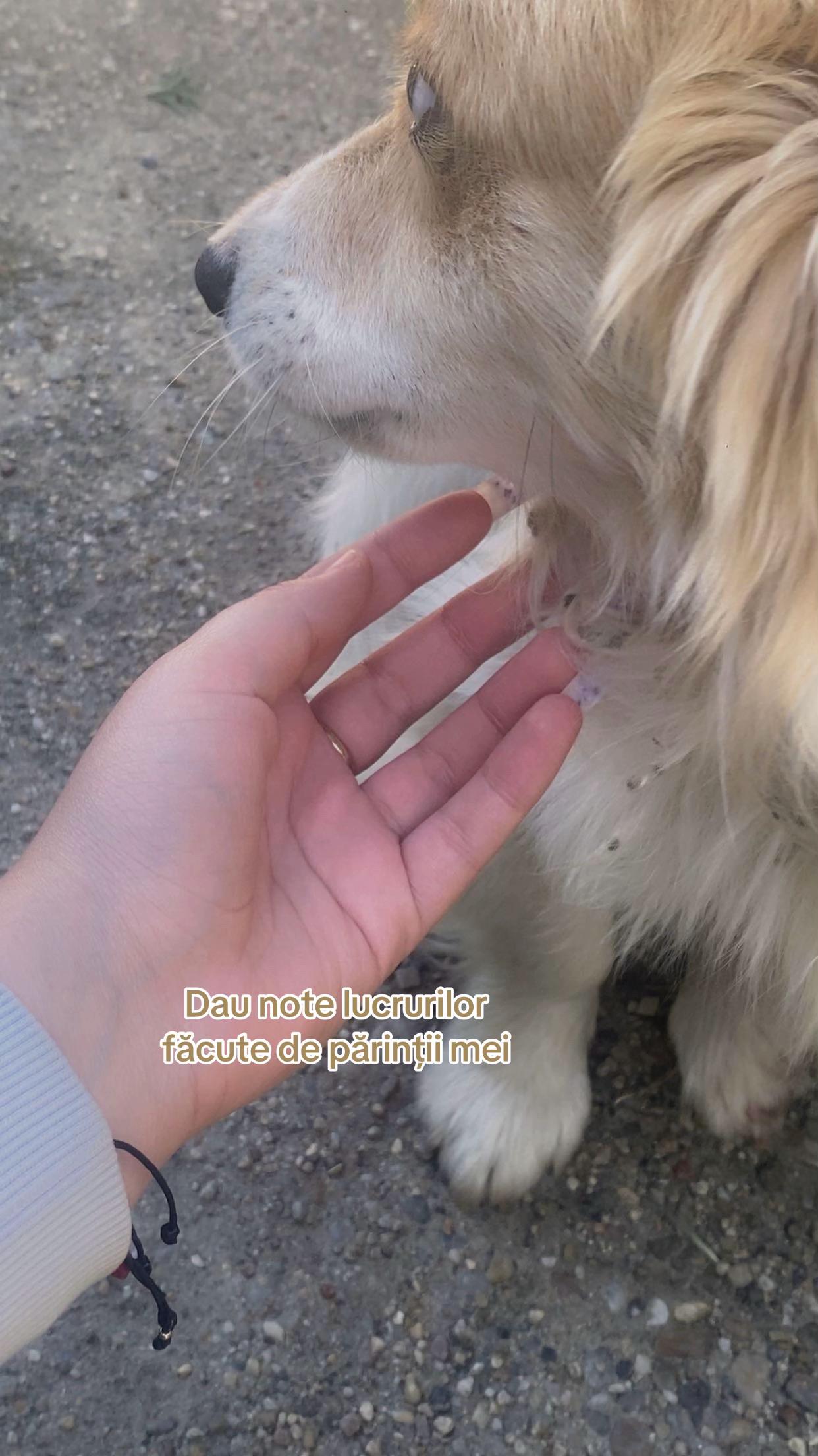 @🤍ȘTEFANIA🤍
