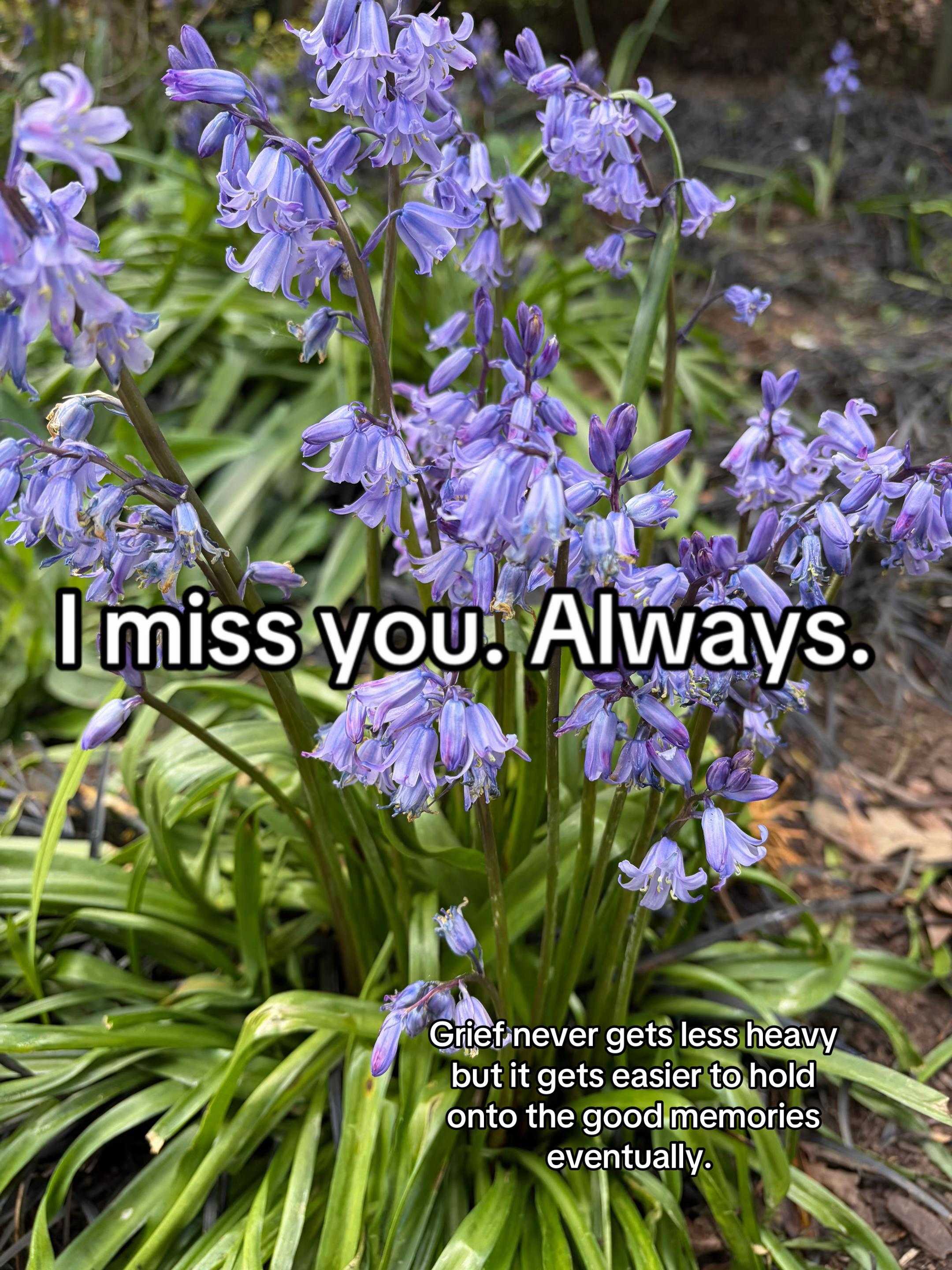 @chronicallyrenj