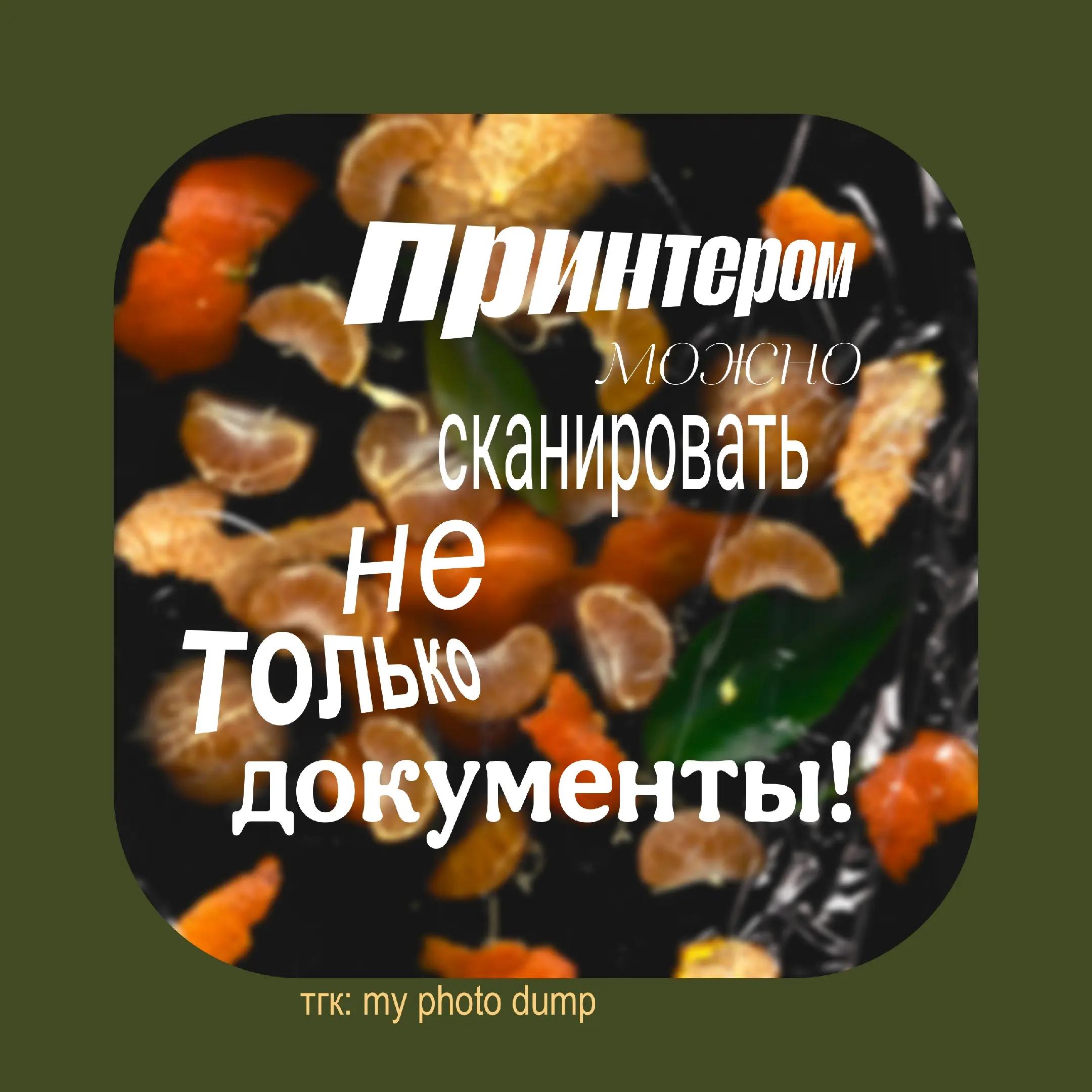 @дозер