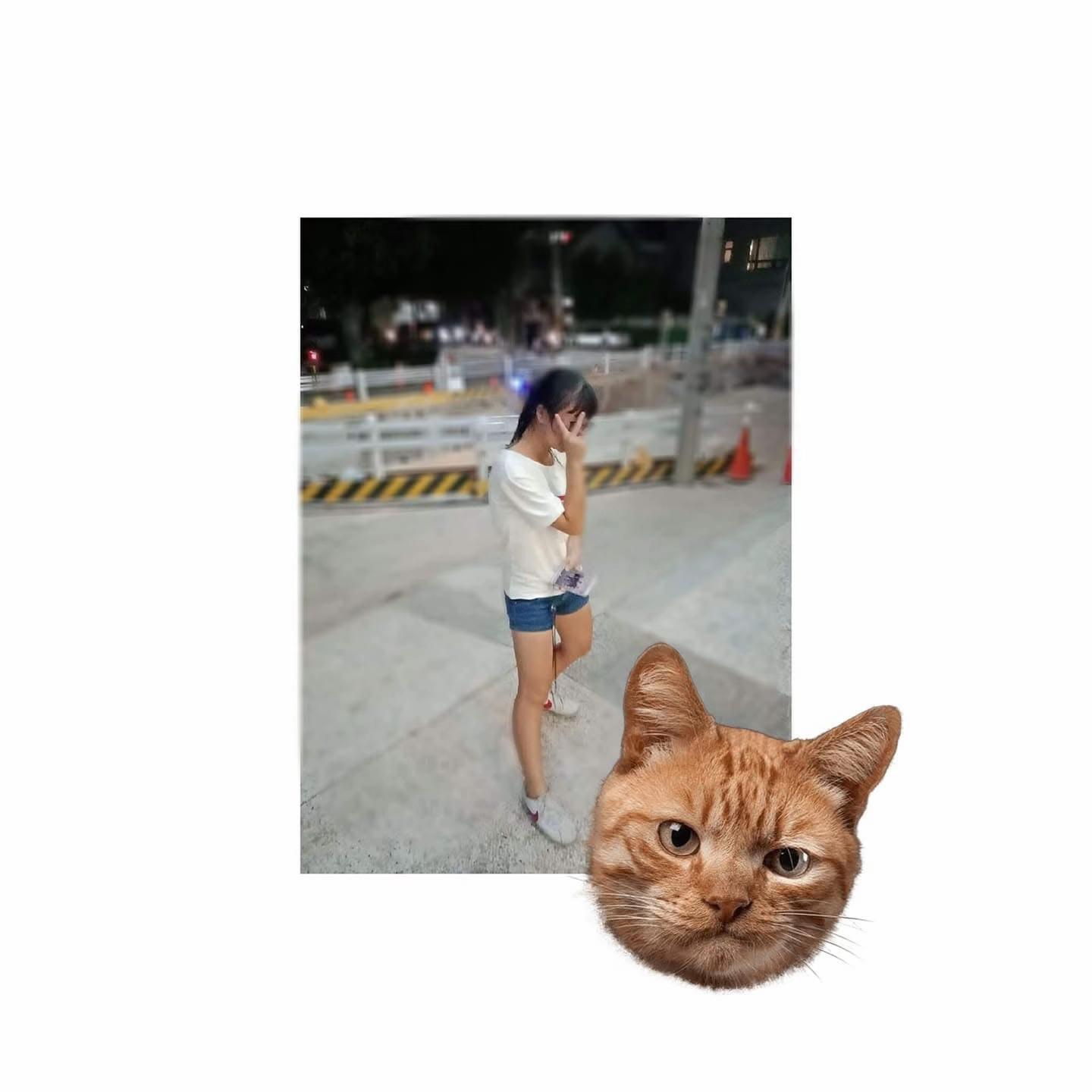 @魏