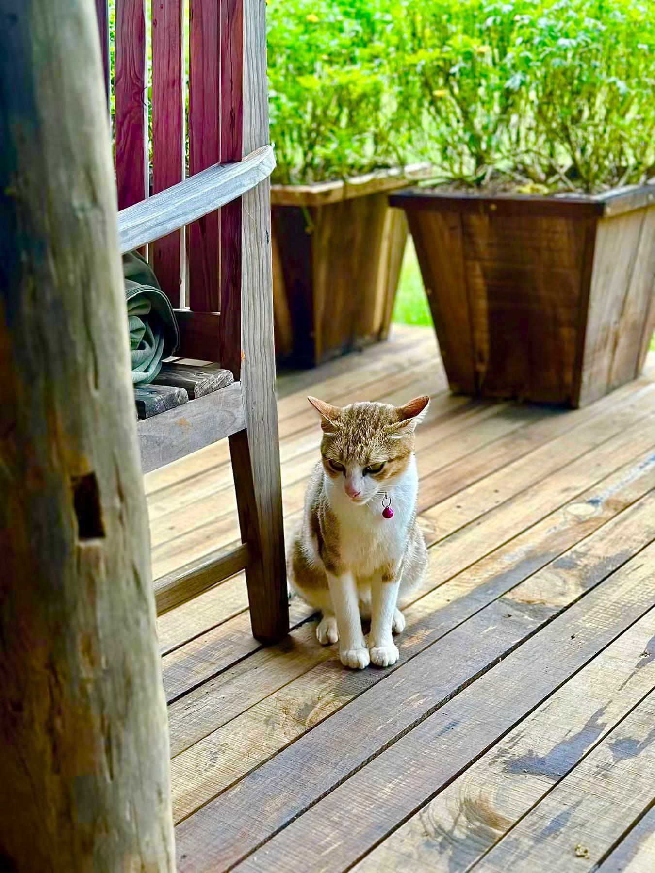 @1Cuộc Đời Bình Yên-Bình Thường