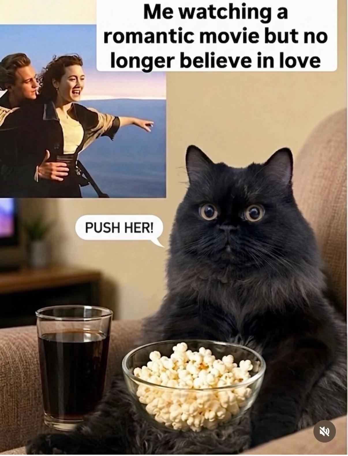 @Alex 🐈⬛ 🐈